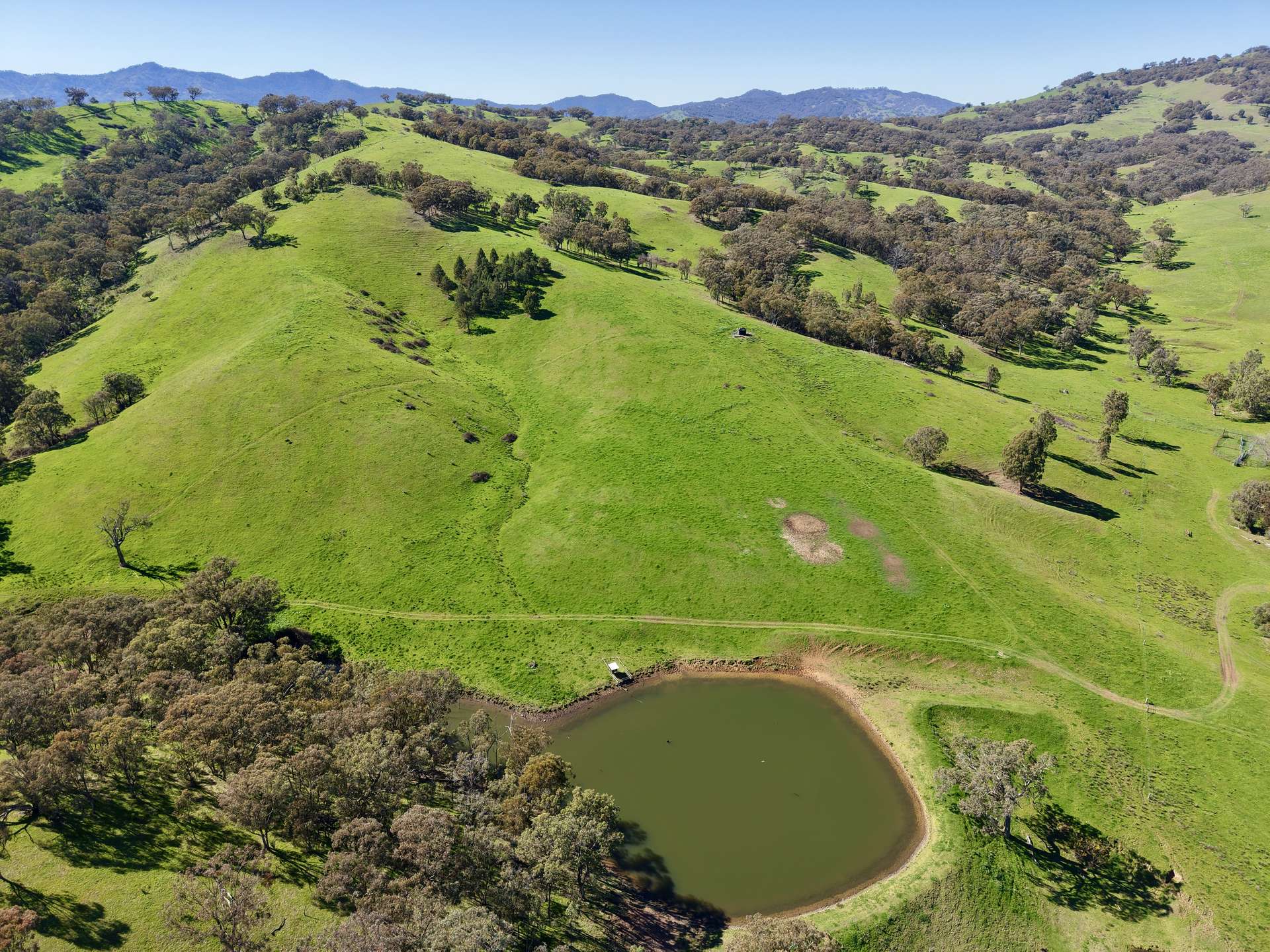 "Dulverton" & "Yeramba" Fullers Lane, Wallabadah For Sale by Farmbuy.com - image 25