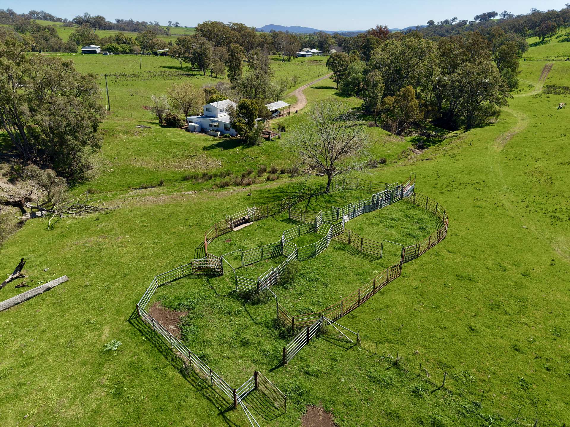 "Dulverton" & "Yeramba" Fullers Lane, Wallabadah For Sale by Farmbuy.com - image 5