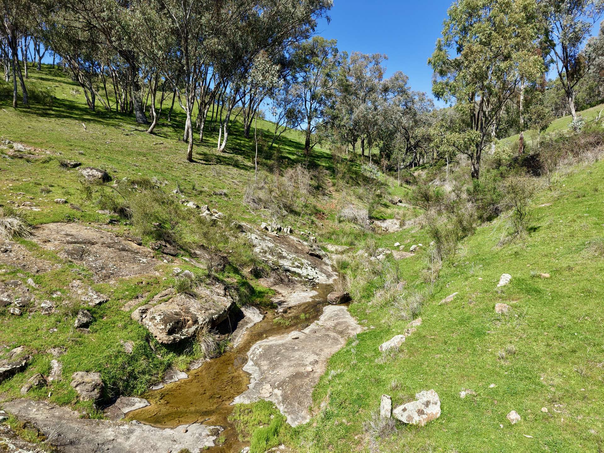"Dulverton" & "Yeramba" Fullers Lane, Wallabadah For Sale by Farmbuy.com - image 17