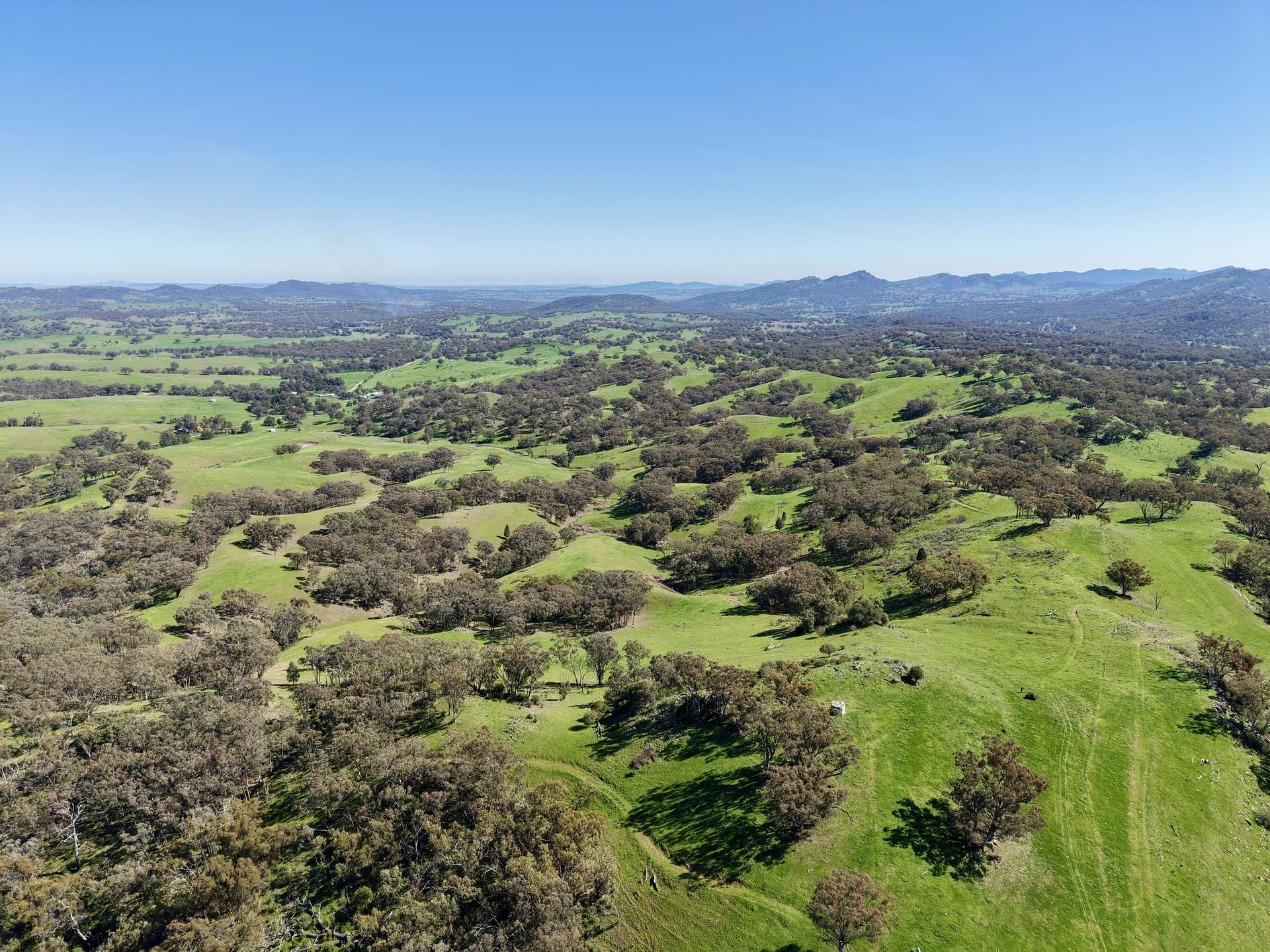 "Dulverton" & "Yeramba" Fullers Lane, Wallabadah For Sale by Farmbuy.com - image 24