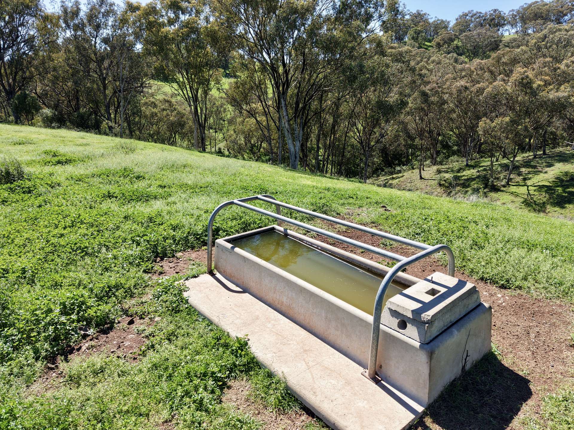 "Dulverton" & "Yeramba" Fullers Lane, Wallabadah For Sale by Farmbuy.com - image 16