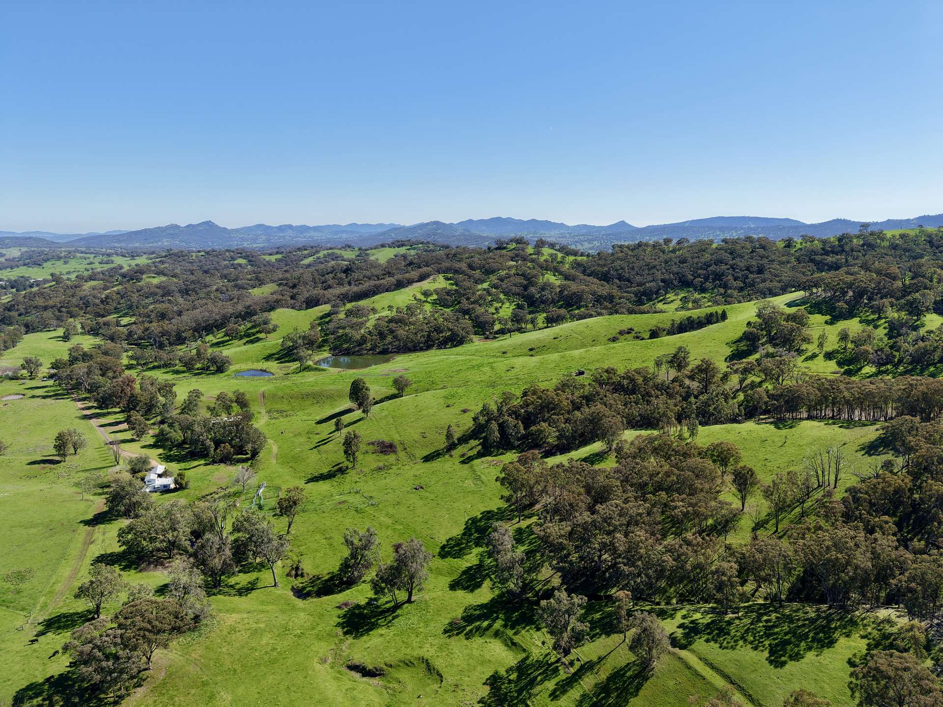 "Dulverton" & "Yeramba" Fullers Lane, Wallabadah For Sale by Farmbuy.com - image 1