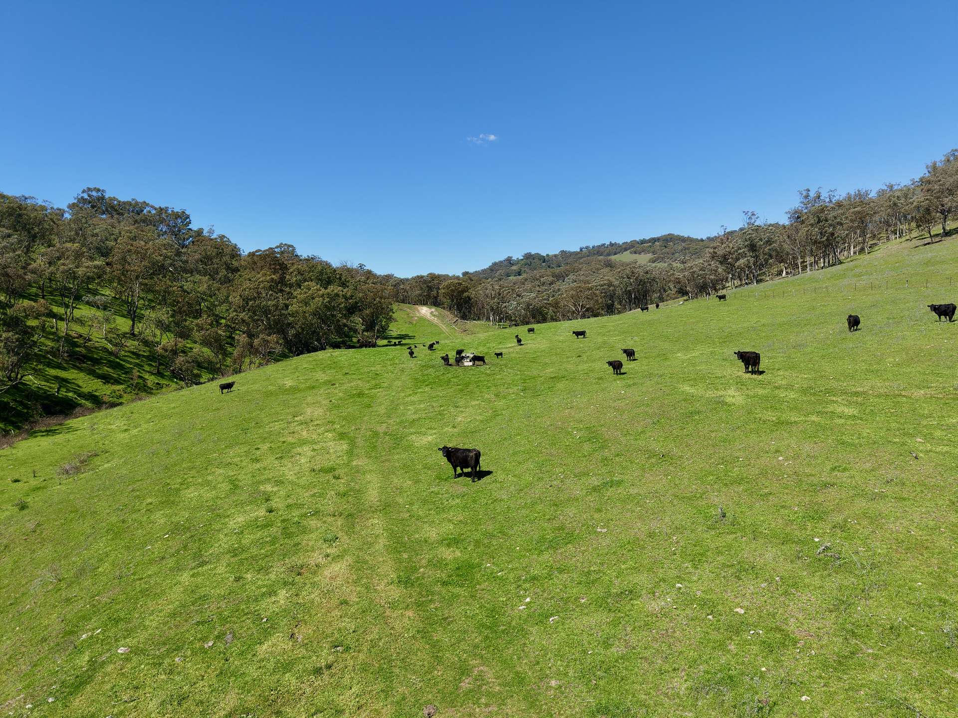 "Dulverton" & "Yeramba" Fullers Lane, Wallabadah For Sale by Farmbuy.com - image 3