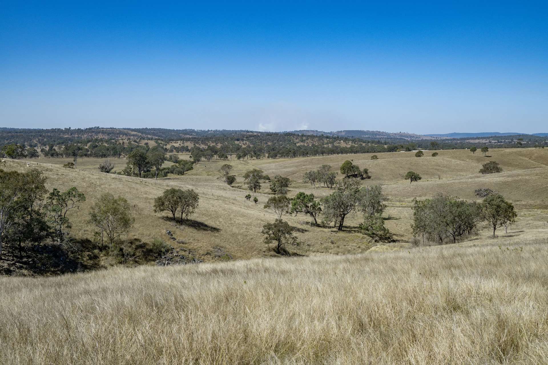 400 Rickertt Road, Johnstown Tender by Farmbuy.com - image 5