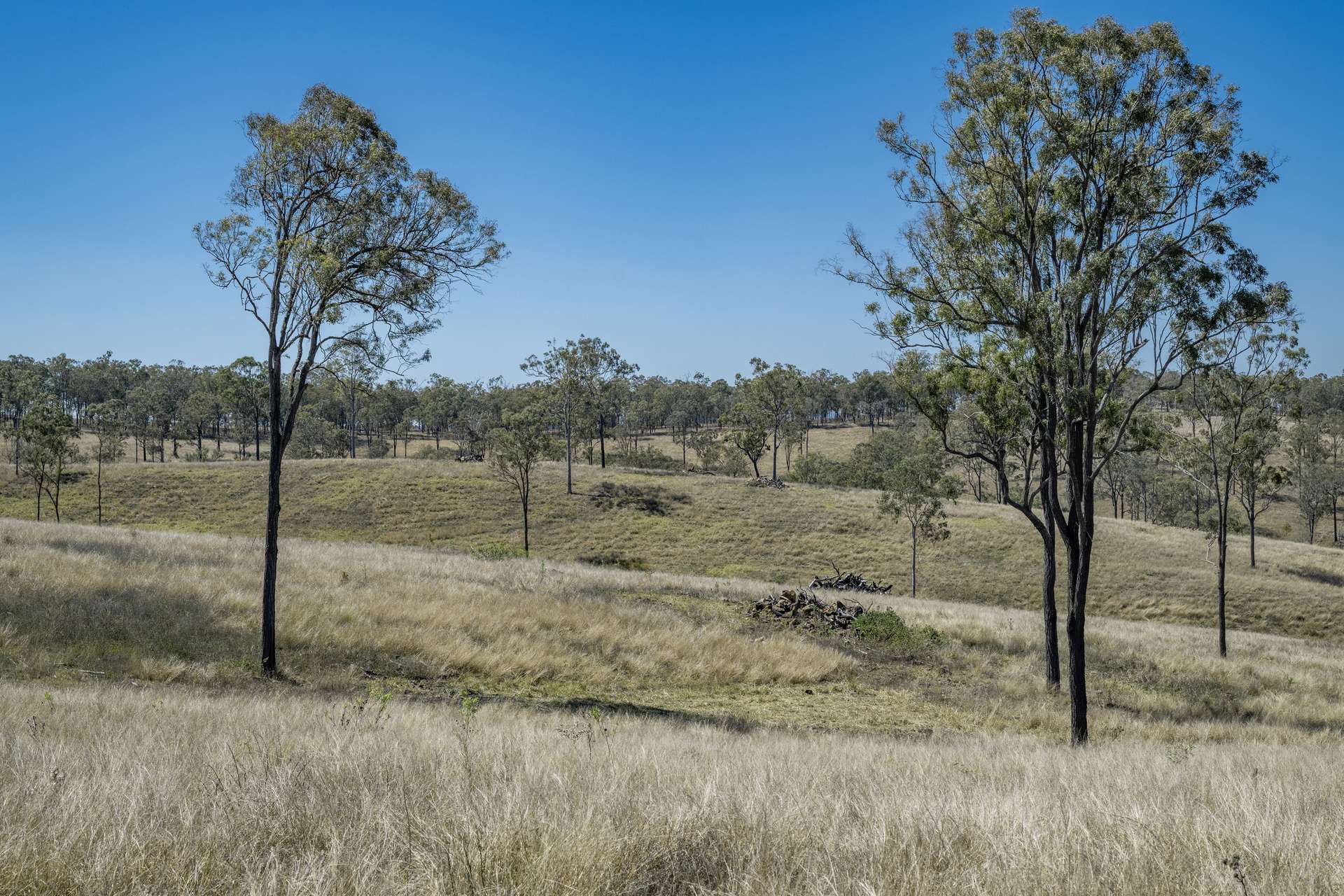 400 Rickertt Road, Johnstown Tender by Farmbuy.com - image 6