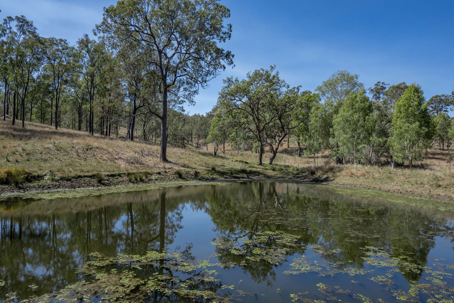 400 Rickertt Road, Johnstown Tender by Farmbuy.com - image 35