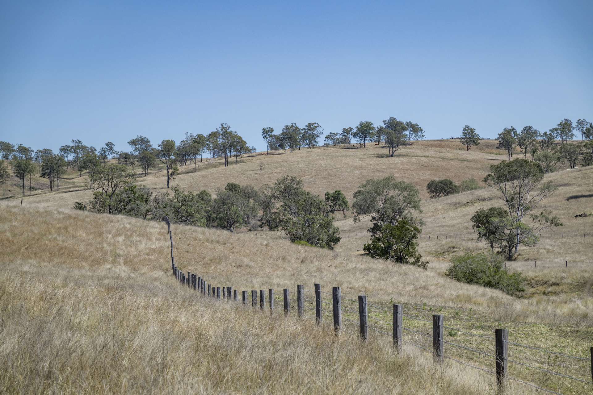 400 Rickertt Road, Johnstown Tender by Farmbuy.com - image 30