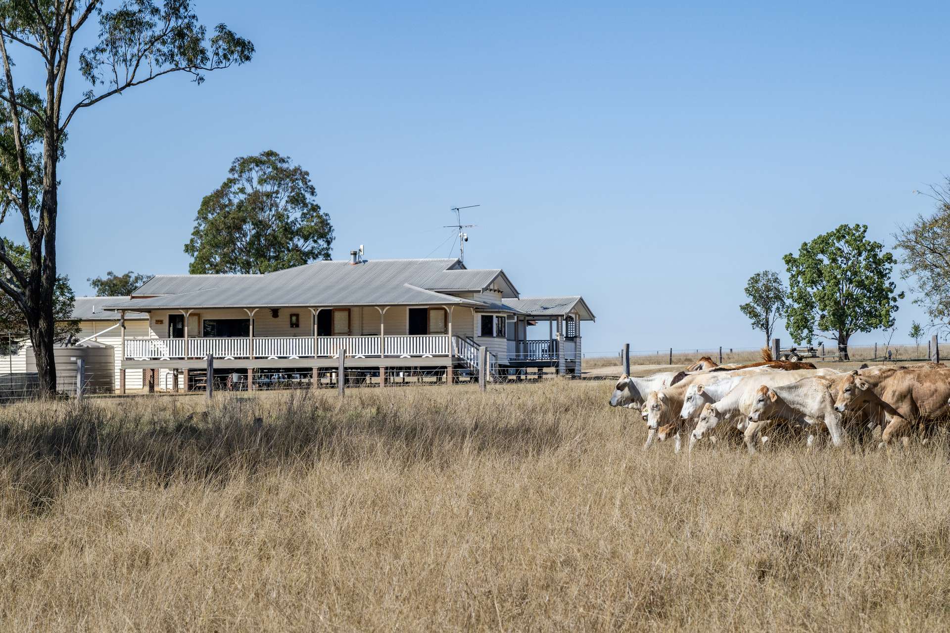 400 Rickertt Road, Johnstown Tender by Farmbuy.com - image 11