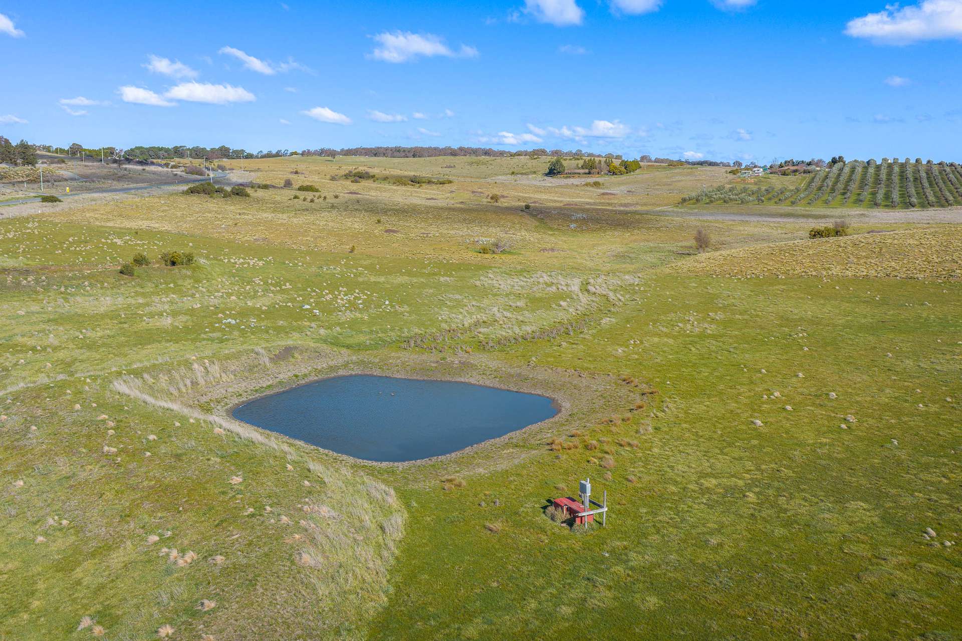 115 Range Road, Goulburn Auction by Farmbuy.com - image 2