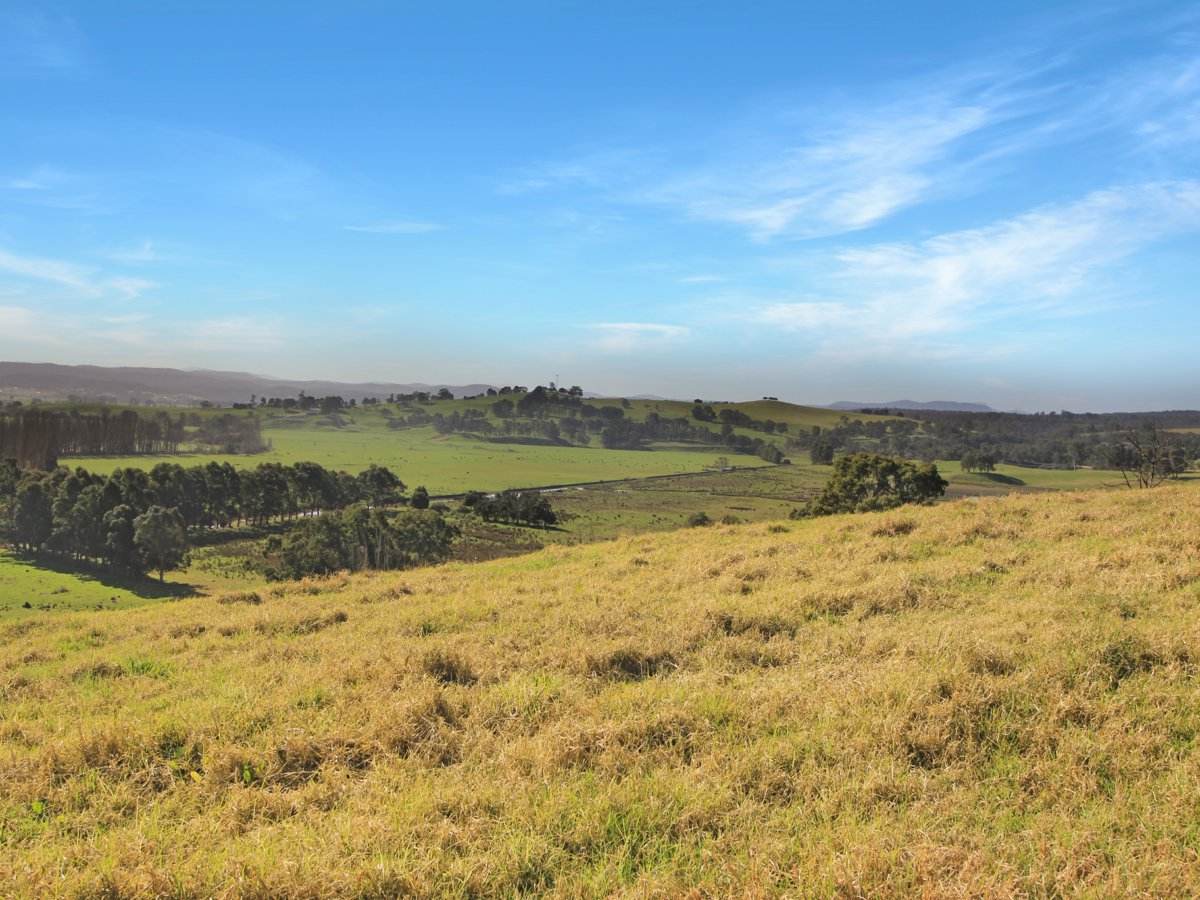 1023 Tambo Upper Road, Bruthen For Sale by Farmbuy.com - image 3
