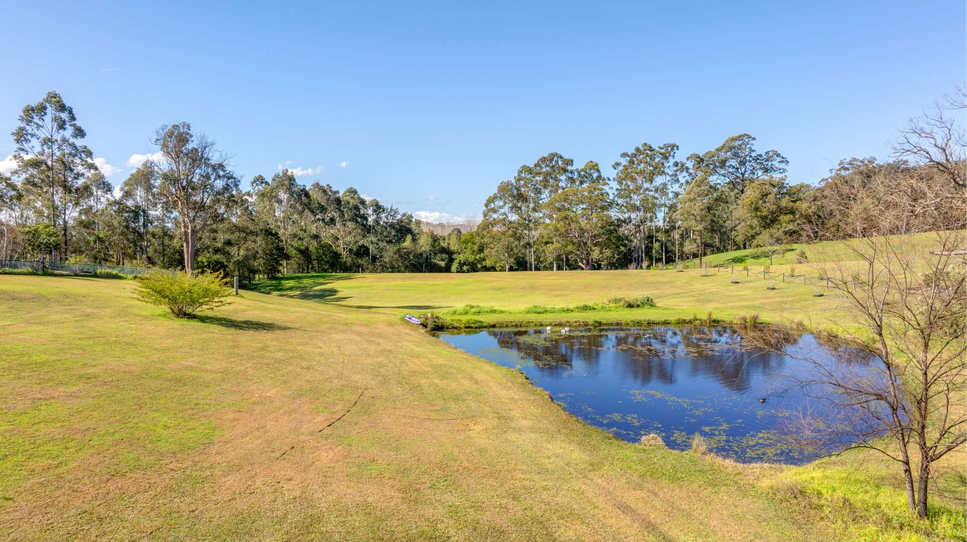 2 Deptford Close, Clarence Town For Sale by Farmbuy.com - image 10
