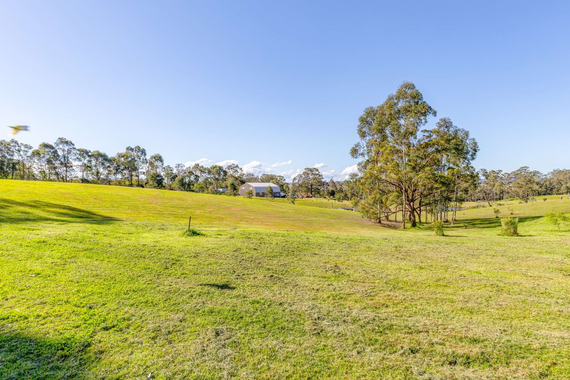 2 Deptford Close, Clarence Town For Sale by Farmbuy.com - image 21