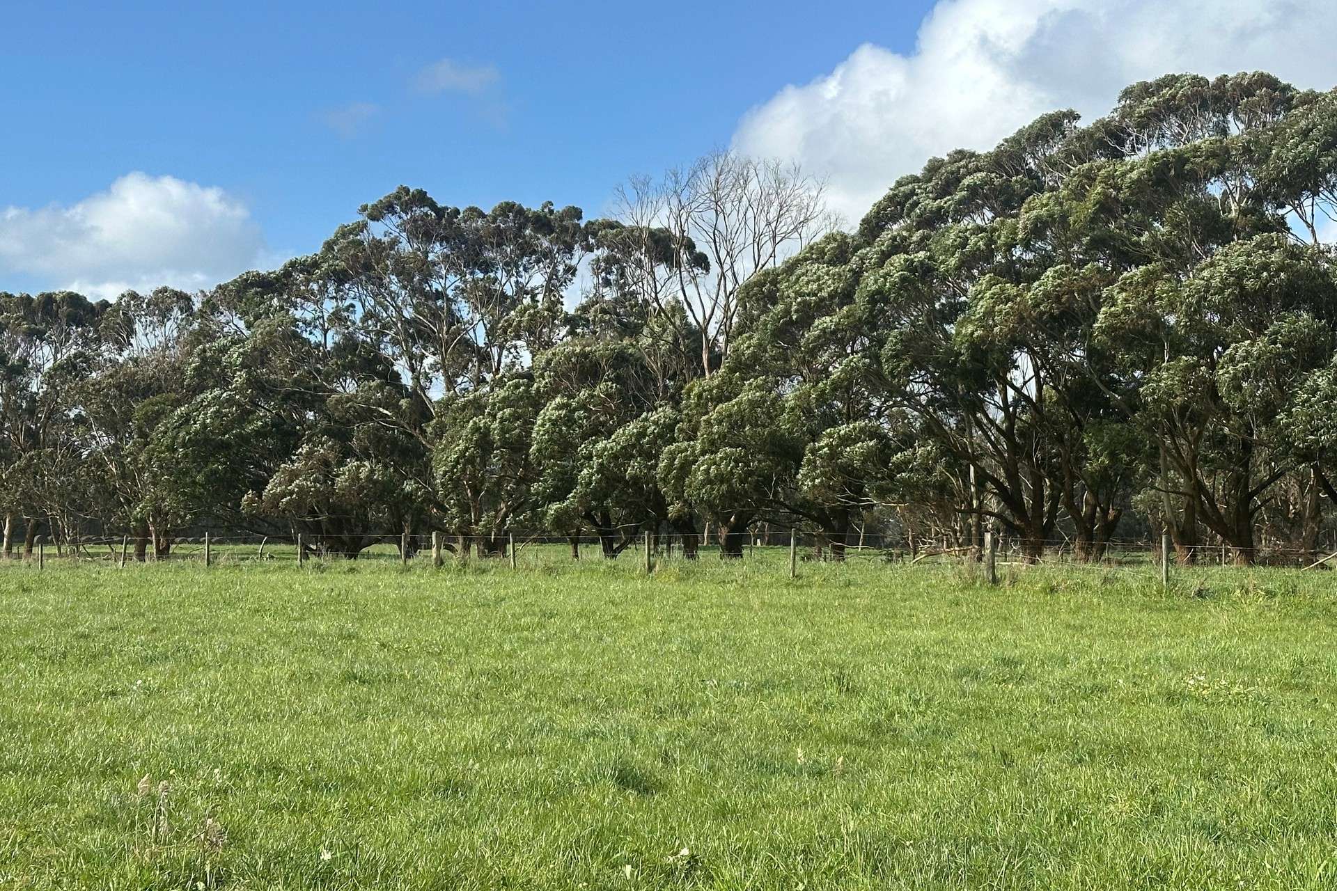 . Barretts Road, Naringal East For Sale by Farmbuy.com - image 11