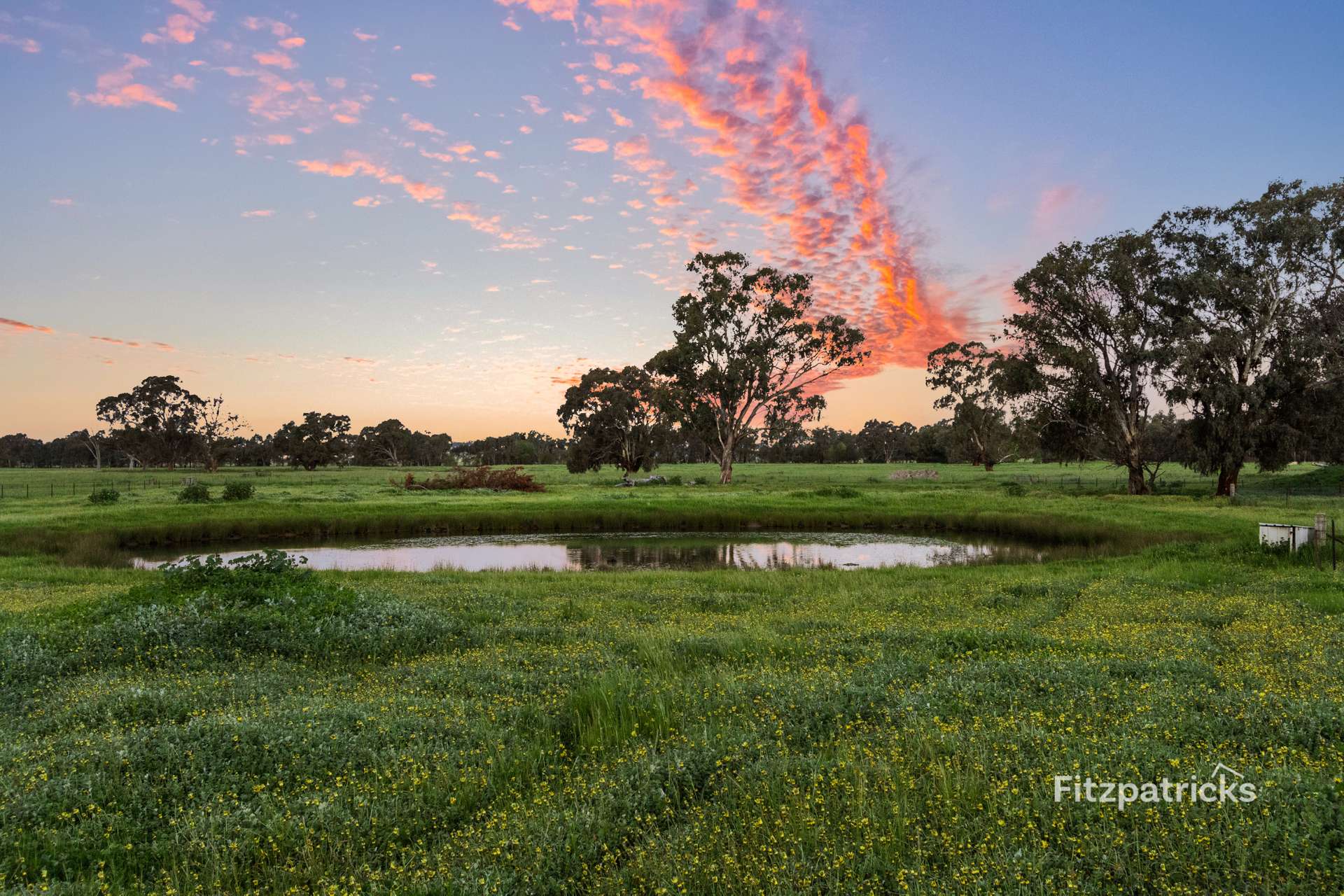 519 Kooringal Road, Kooringal For Sale by Farmbuy.com - image 32