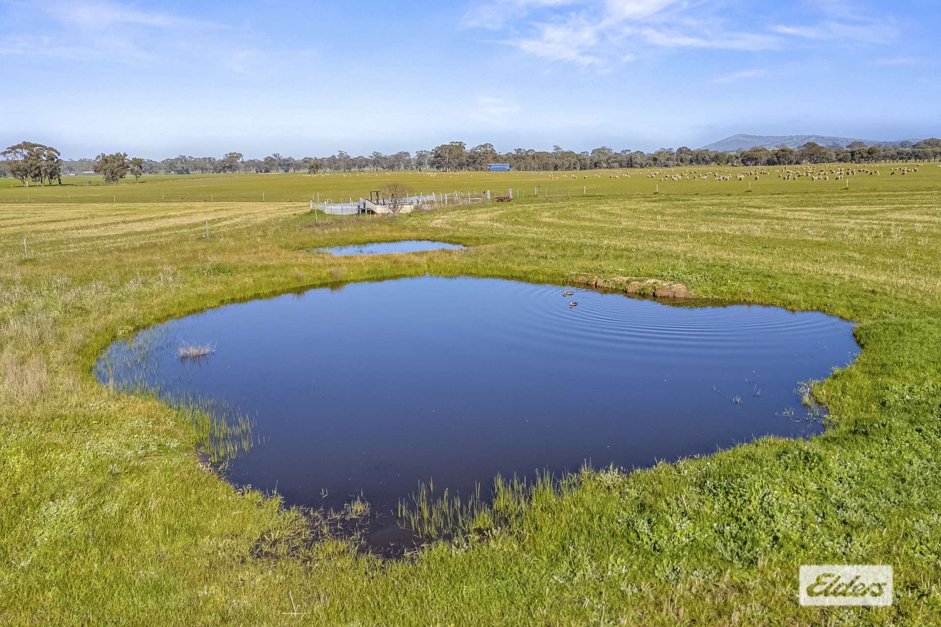 Lot 12 Higgins Road, Navarre For Sale by Farmbuy.com - image 9