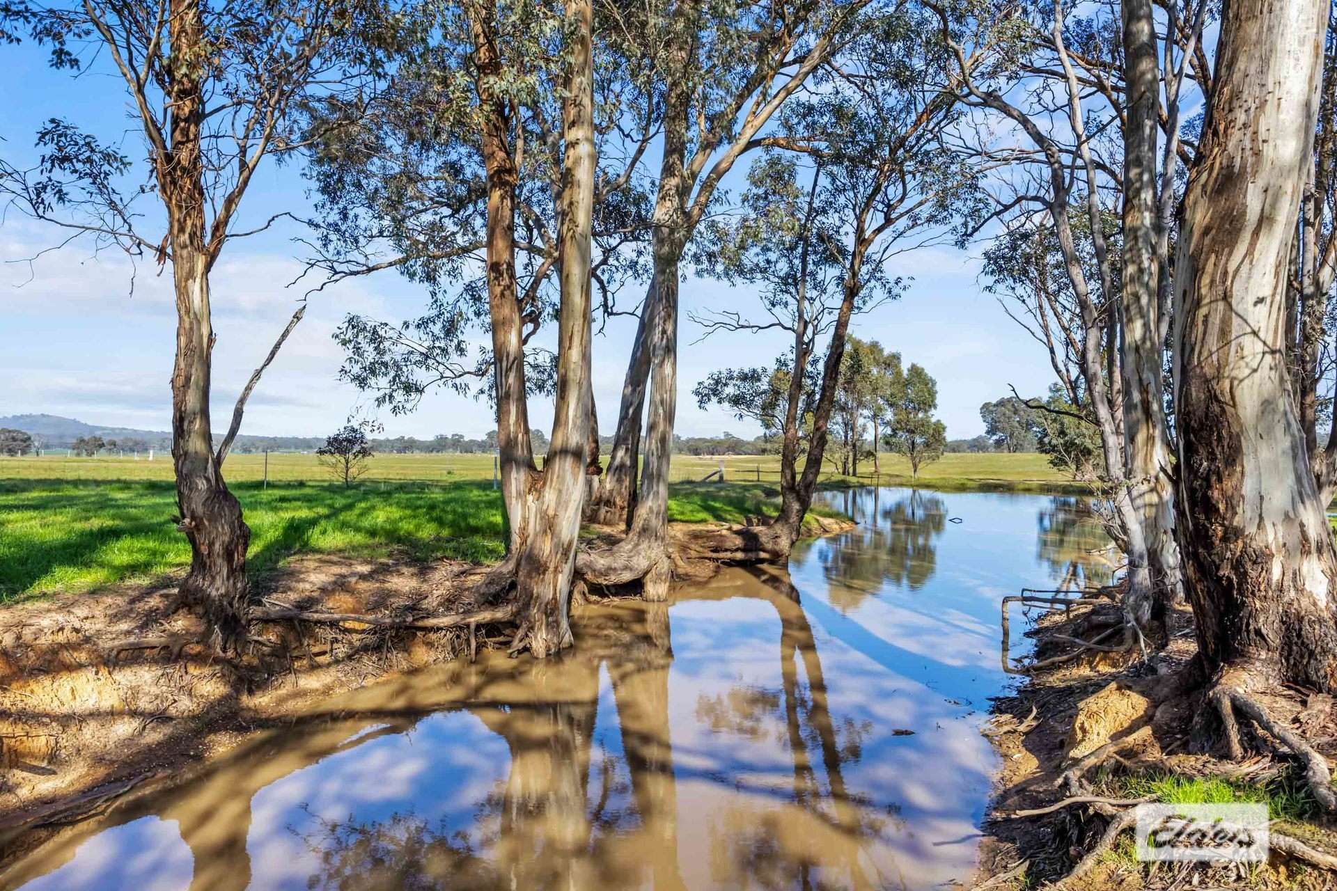 Lot 12 Higgins Road, Navarre For Sale by Farmbuy.com - image 12