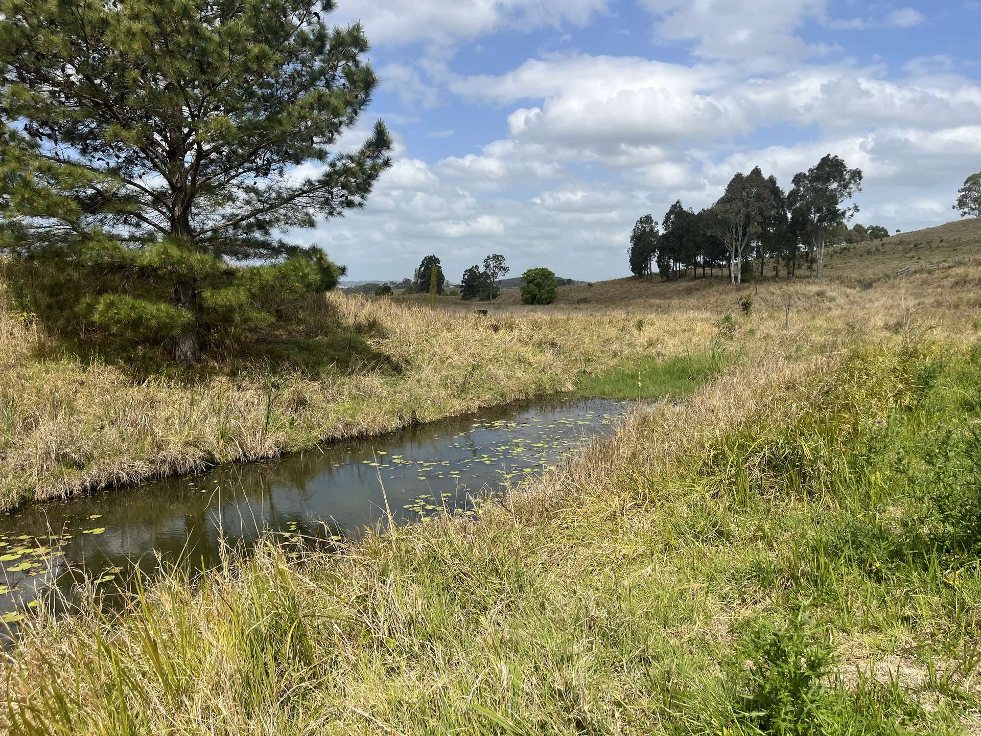 662 Pines Road, Kyogle For Sale by Farmbuy.com - image 10