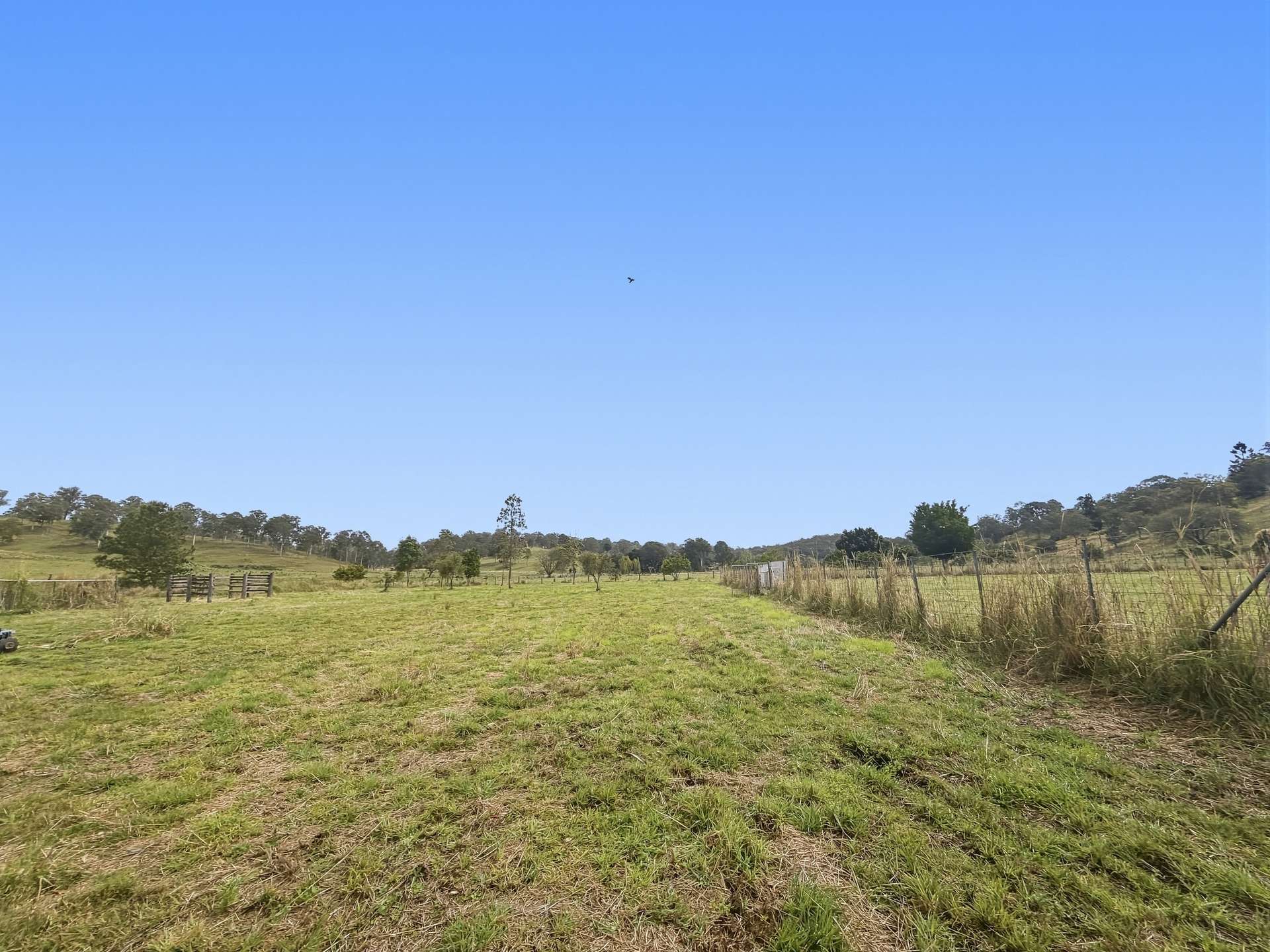 662 Pines Road, Kyogle For Sale by Farmbuy.com - image 3