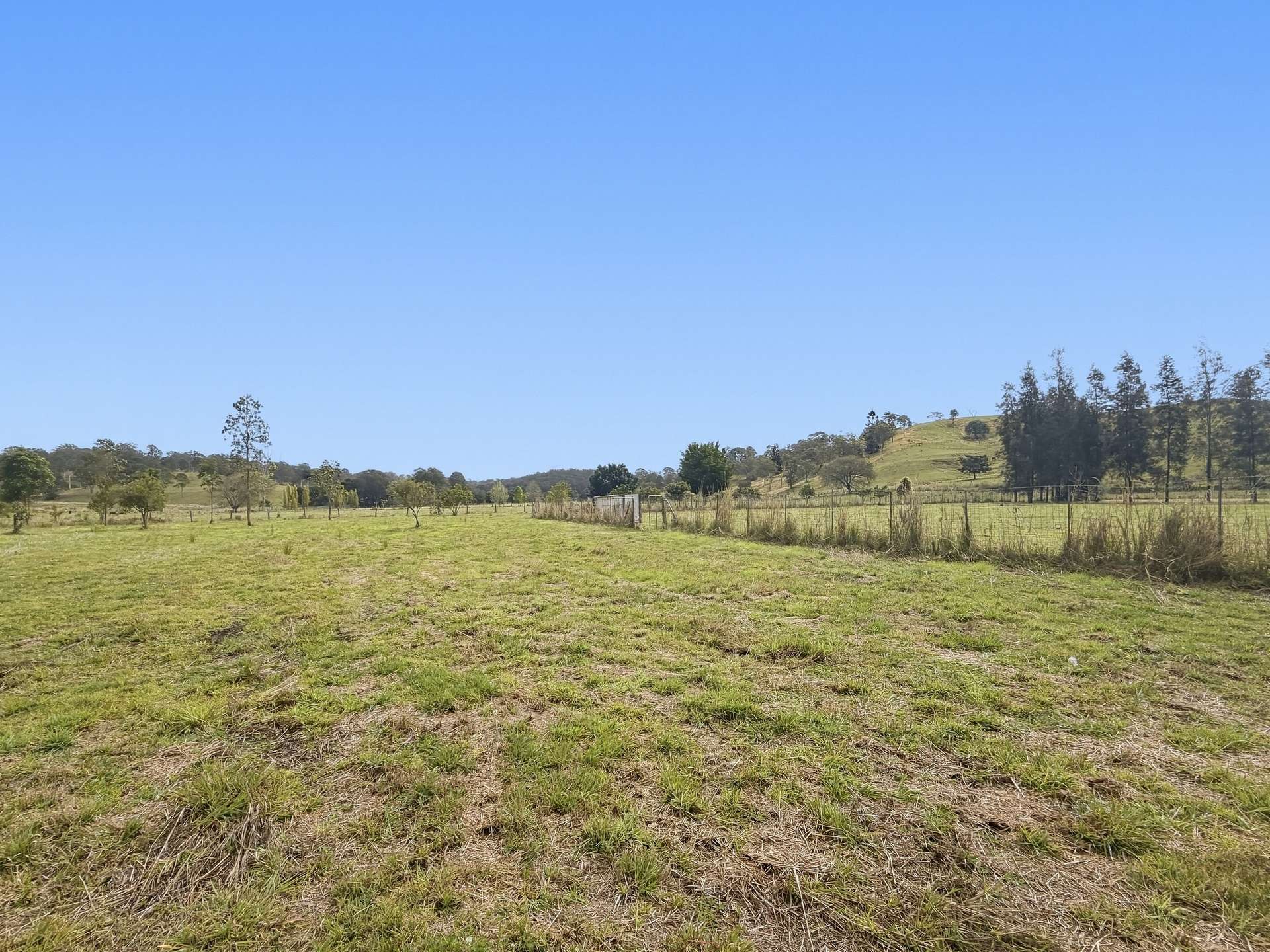 662 Pines Road, Kyogle For Sale by Farmbuy.com - image 6