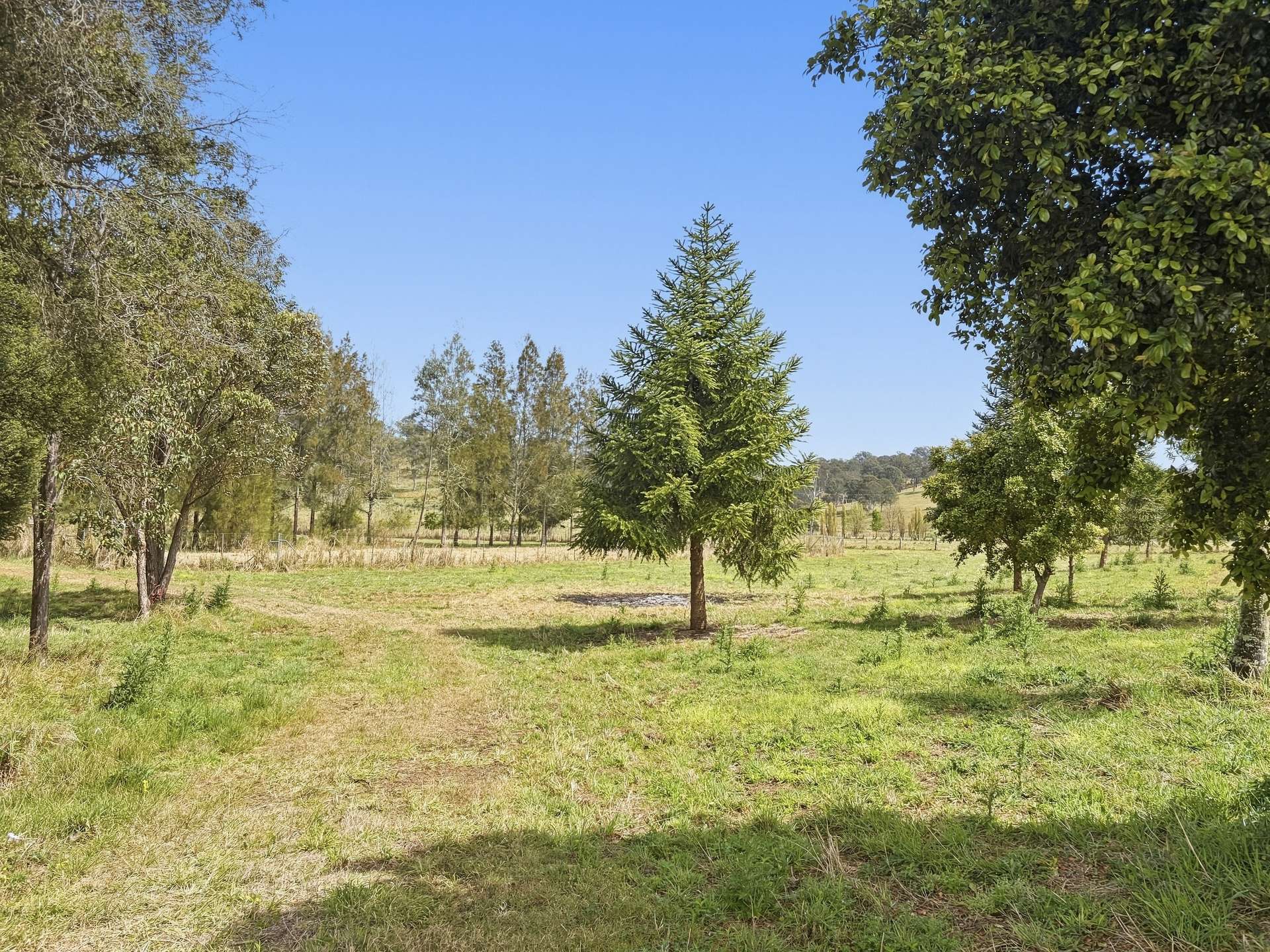 662 Pines Road, Kyogle For Sale by Farmbuy.com - image 2