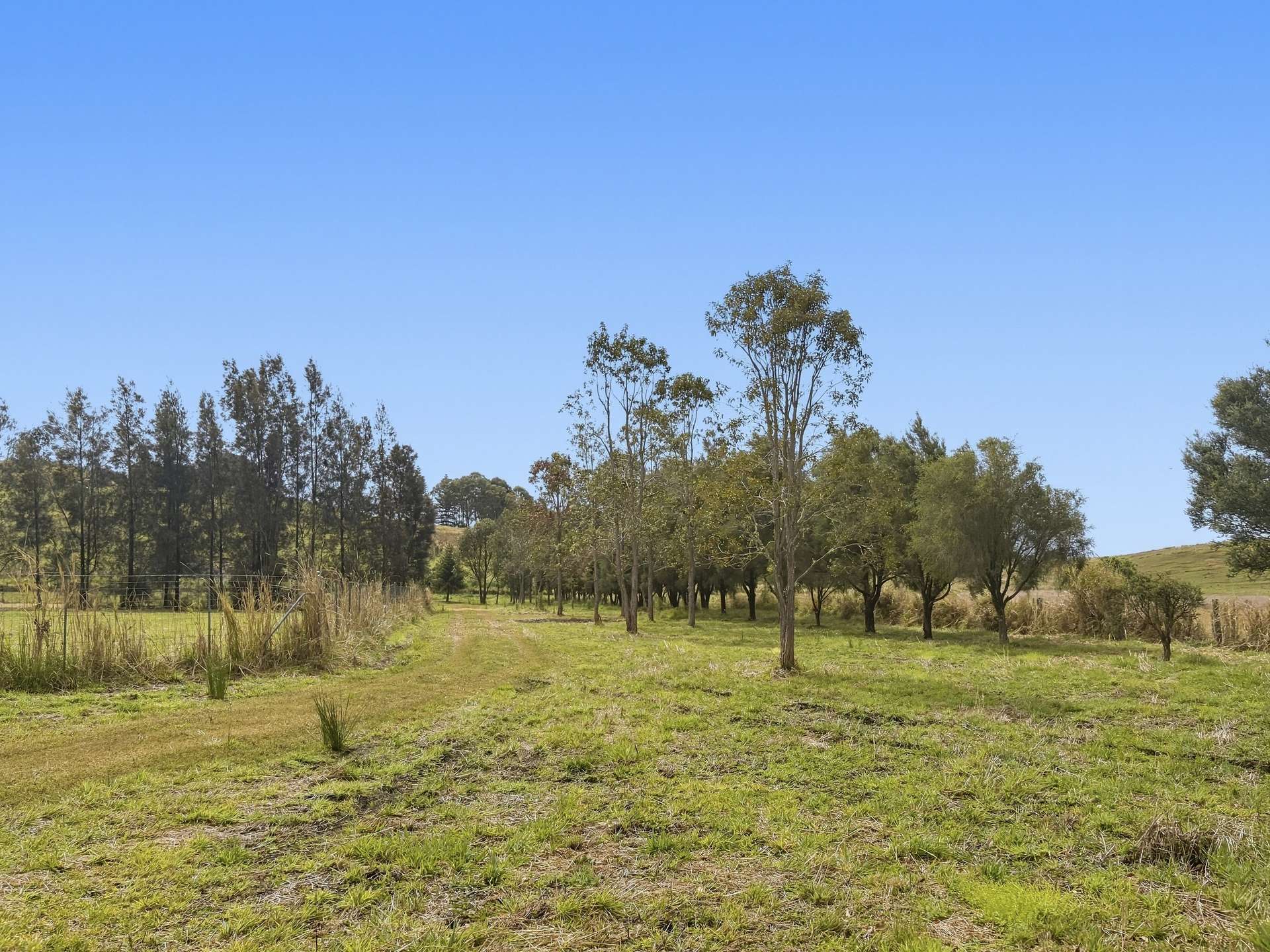 662 Pines Road, Kyogle For Sale by Farmbuy.com - image 5