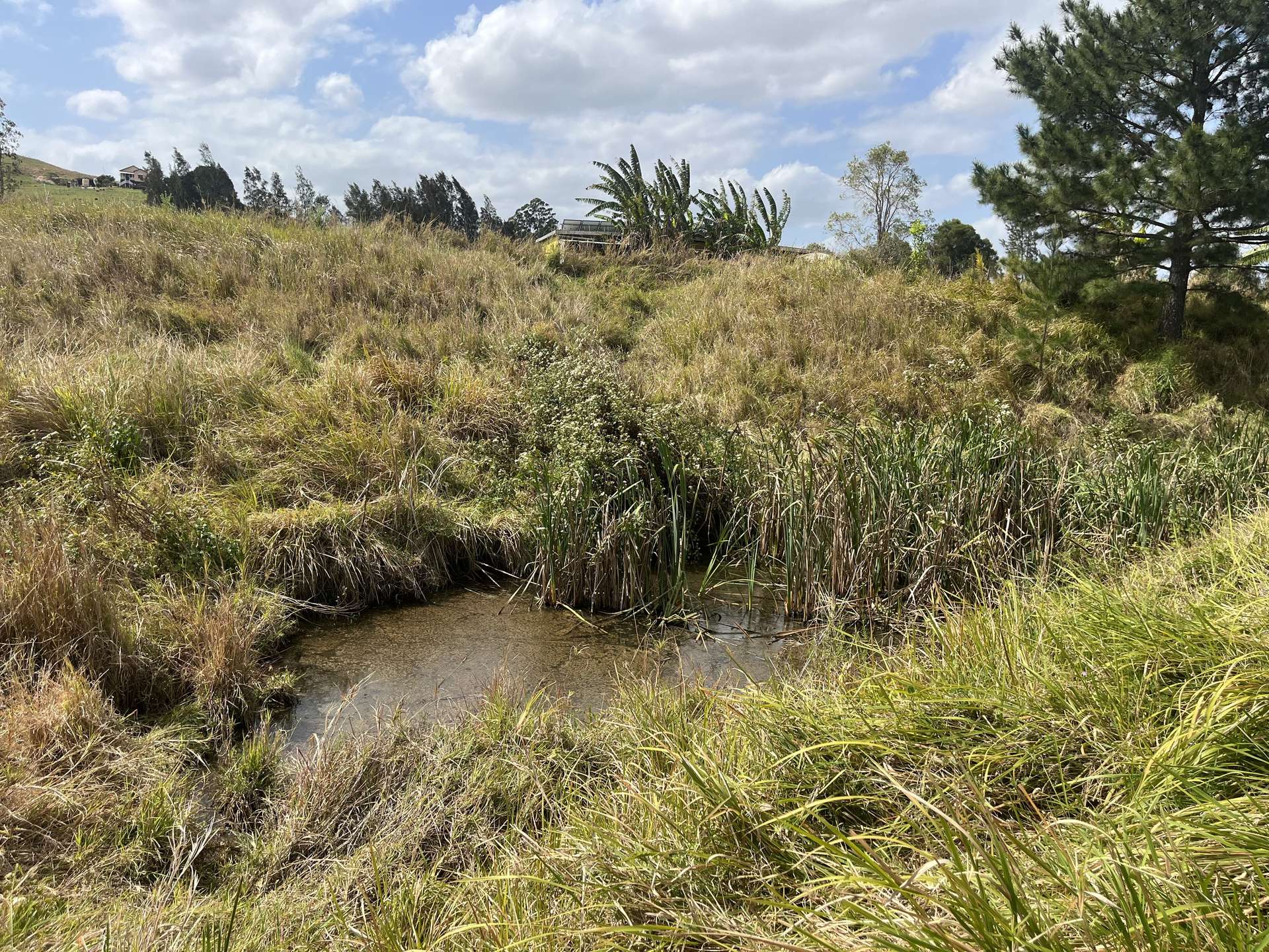 662 Pines Road, Kyogle For Sale by Farmbuy.com - image 9
