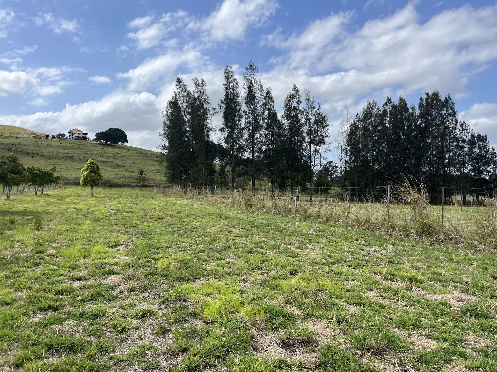 662 Pines Road, Kyogle For Sale by Farmbuy.com - image 11