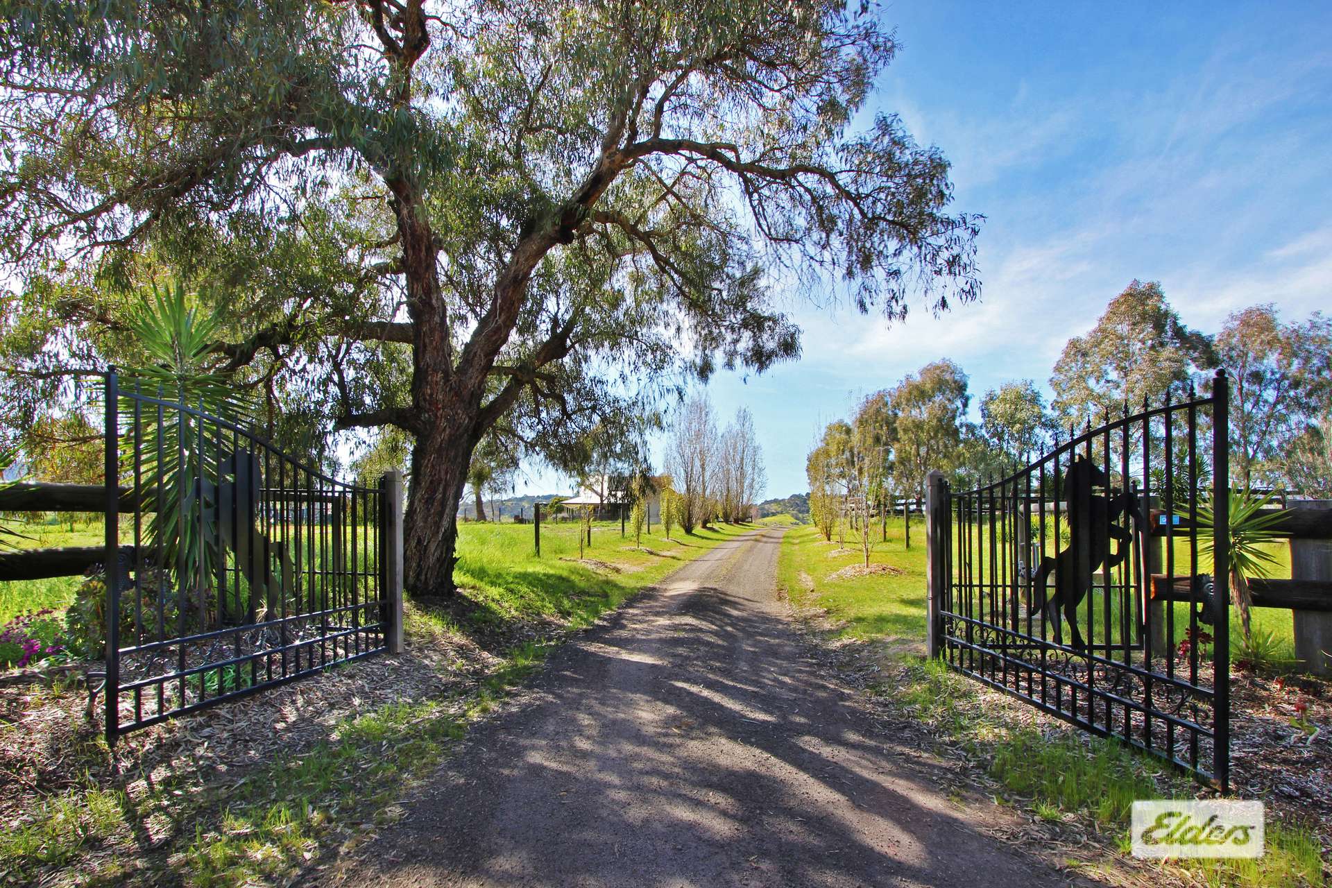 178 Chellews Road, Harcourt North For Sale by Farmbuy.com - image 4
