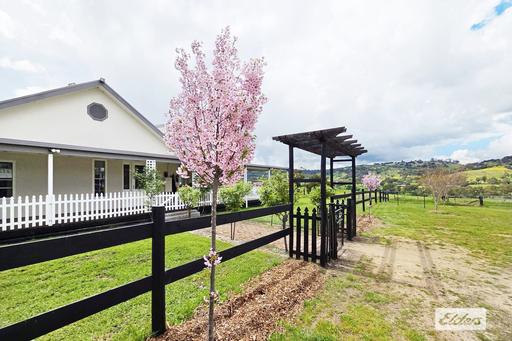 Farm For Sale - VIC - Harcourt North - 3453 - LOCATION, LIFESTYLE & SPECTACULAR VIEWS 