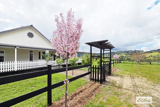 Farm For Sale - VIC - Harcourt North - 3453 - LOCATION, LIFESTYLE & SPECTACULAR VIEWS 