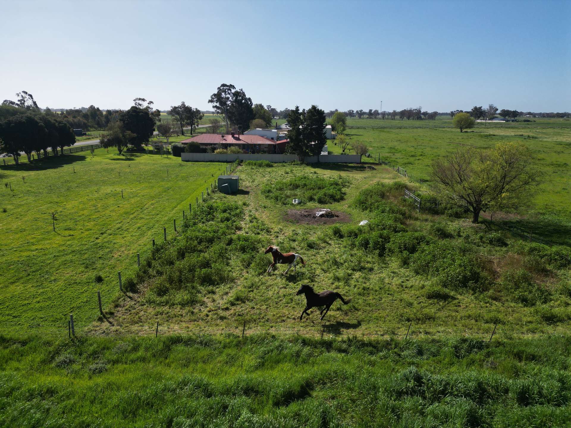 1584 Larissa Road, Yarroweyah For Sale by Farmbuy.com - image 24