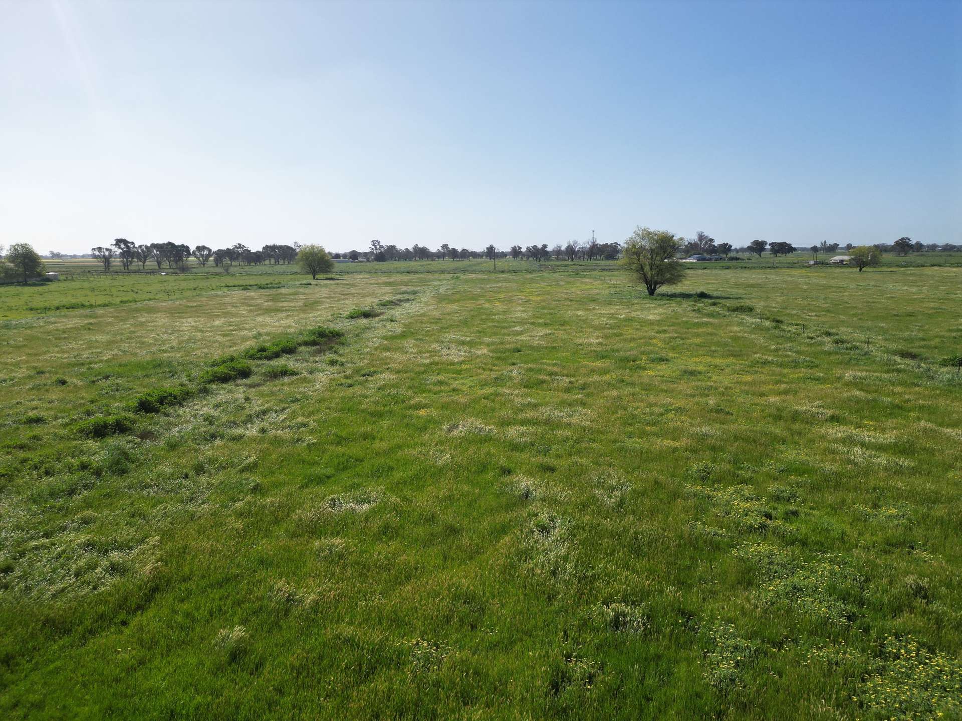 1584 Larissa Road, Yarroweyah For Sale by Farmbuy.com - image 25