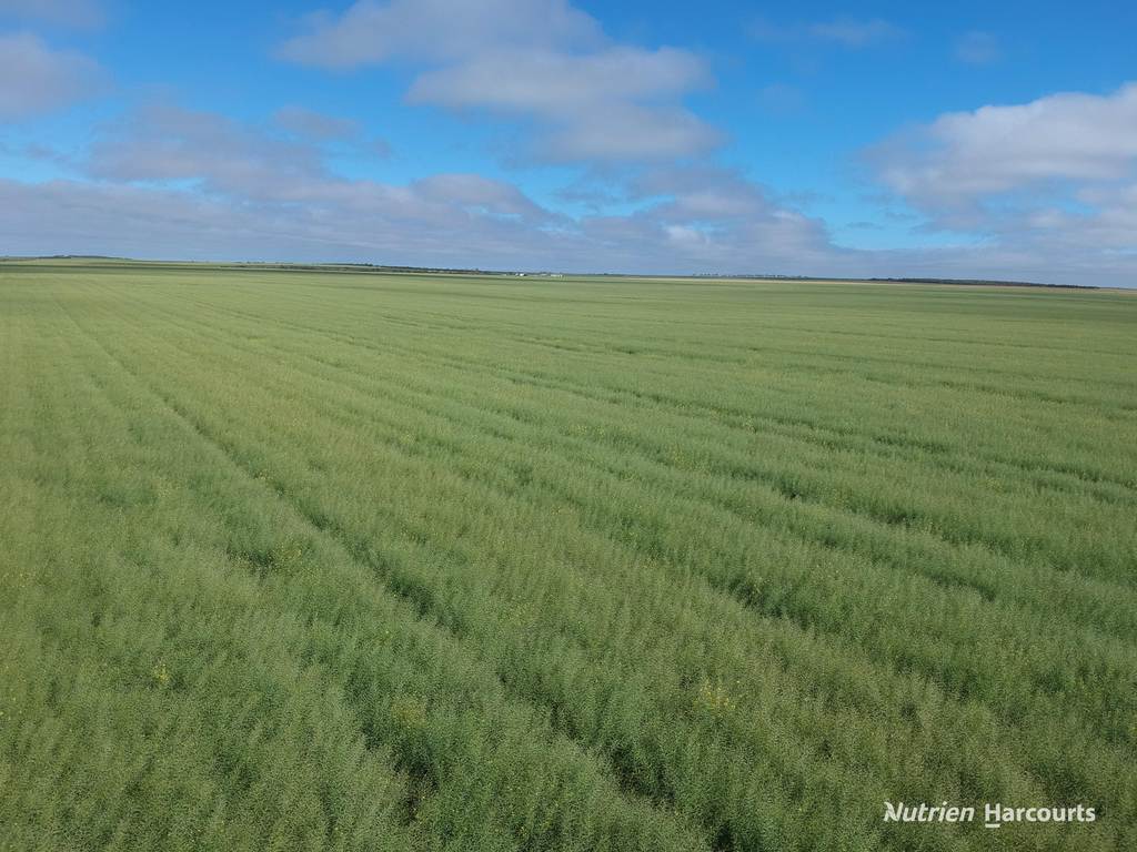 &period; North West Coastal Highway, Binnu WA 6532
