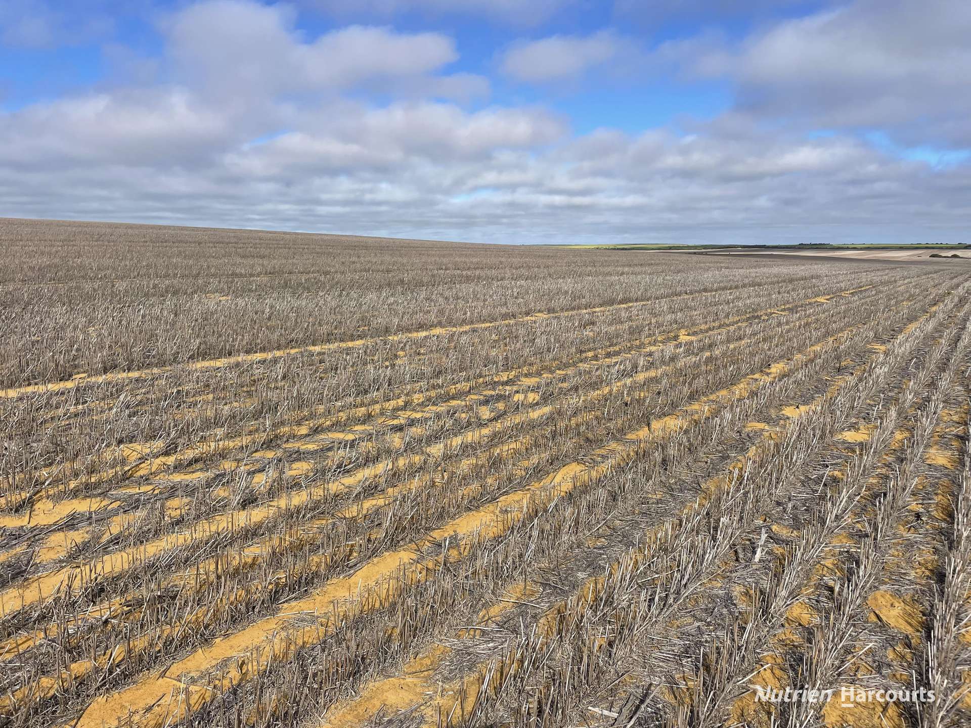 . North West Coastal Highway, Binnu For Sale by Farmbuy.com - image 10