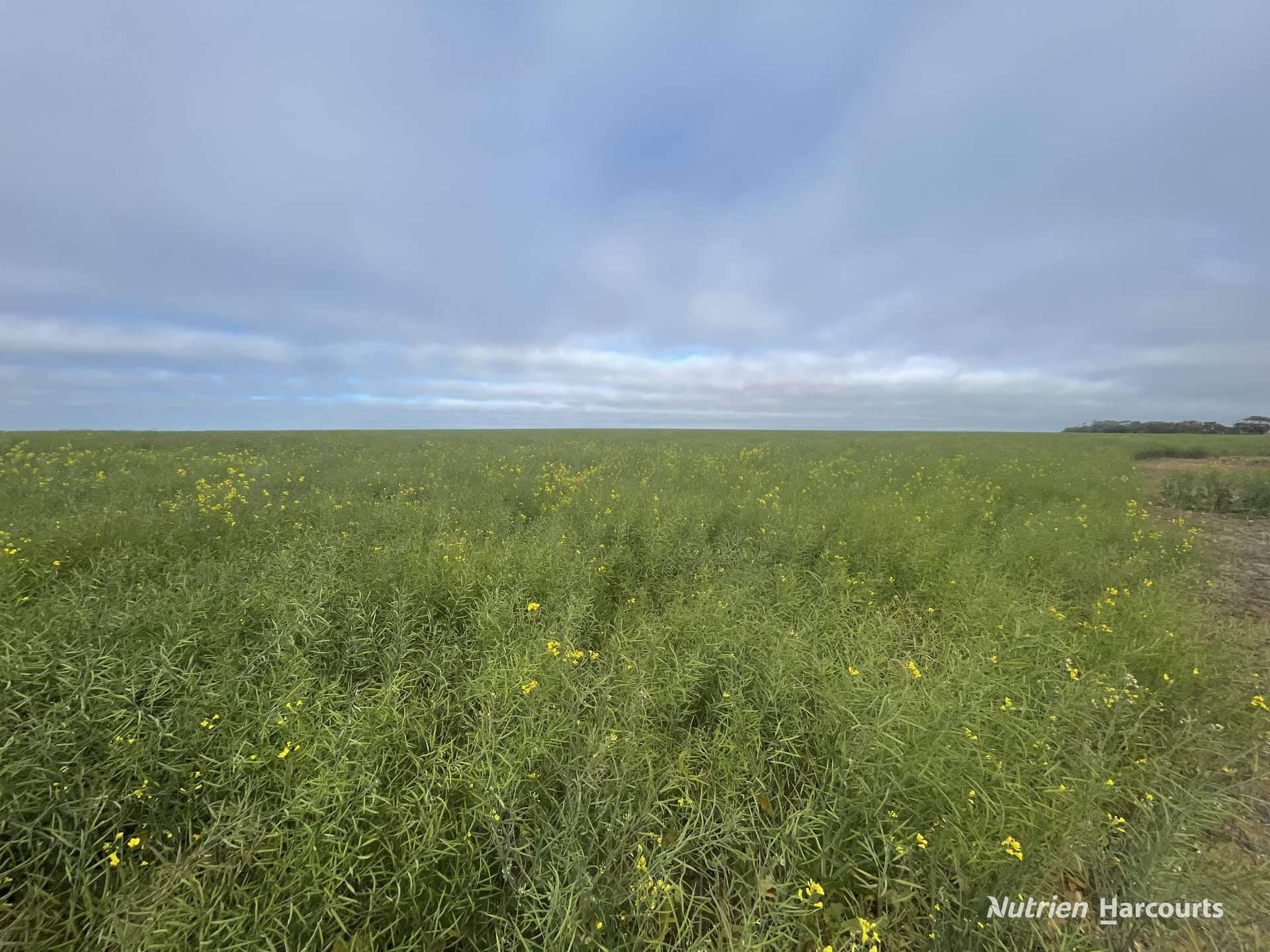 . North West Coastal Highway, Binnu For Sale by Farmbuy.com - image 8