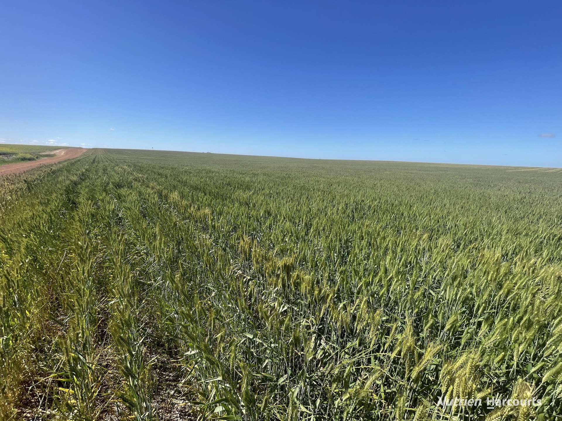 . North West Coastal Highway, Binnu For Sale by Farmbuy.com - image 15