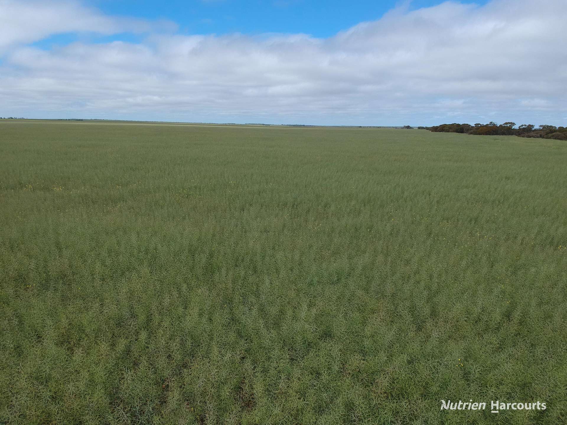 . North West Coastal Highway, Binnu For Sale by Farmbuy.com - image 6