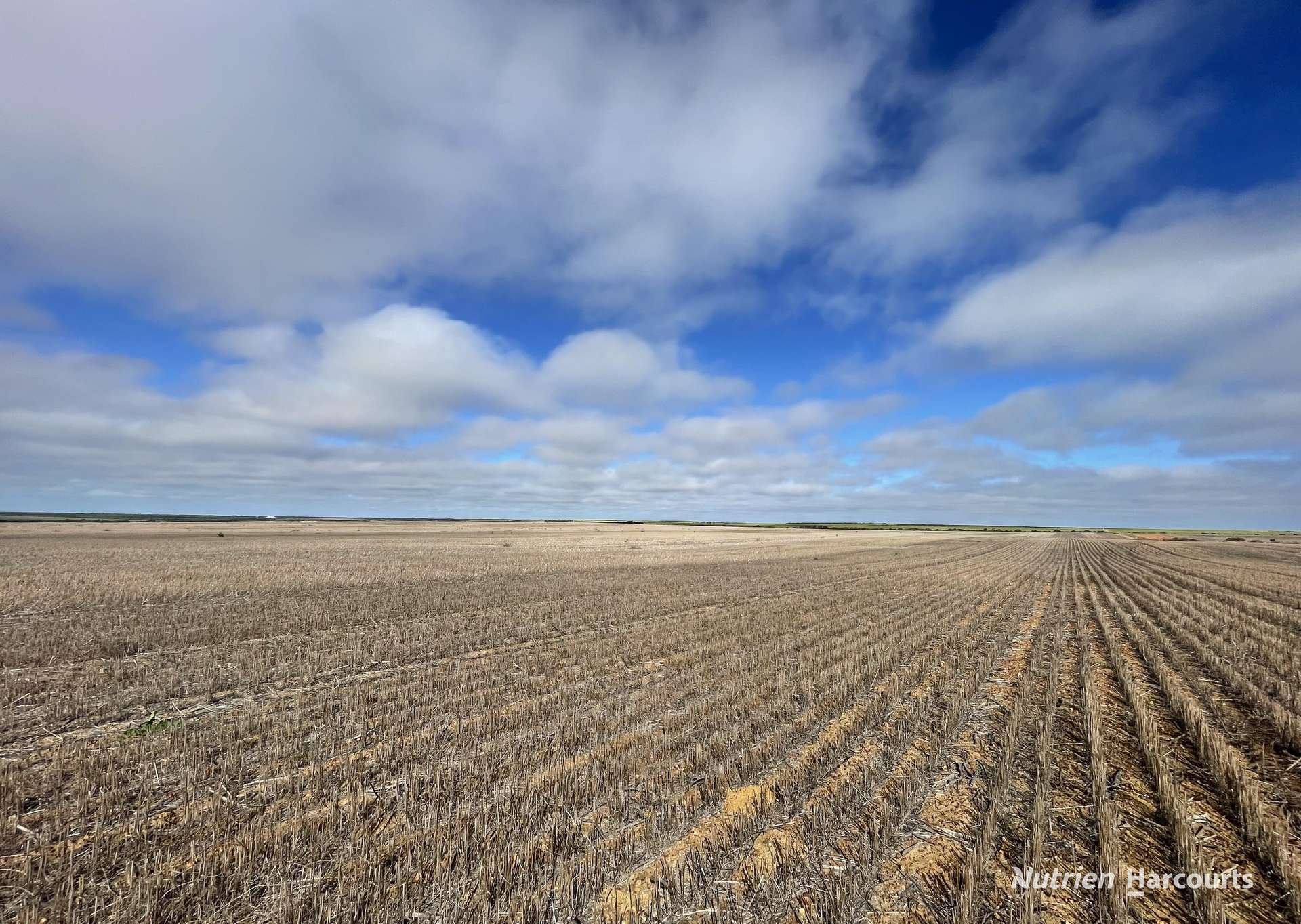 . North West Coastal Highway, Binnu For Sale by Farmbuy.com - image 4