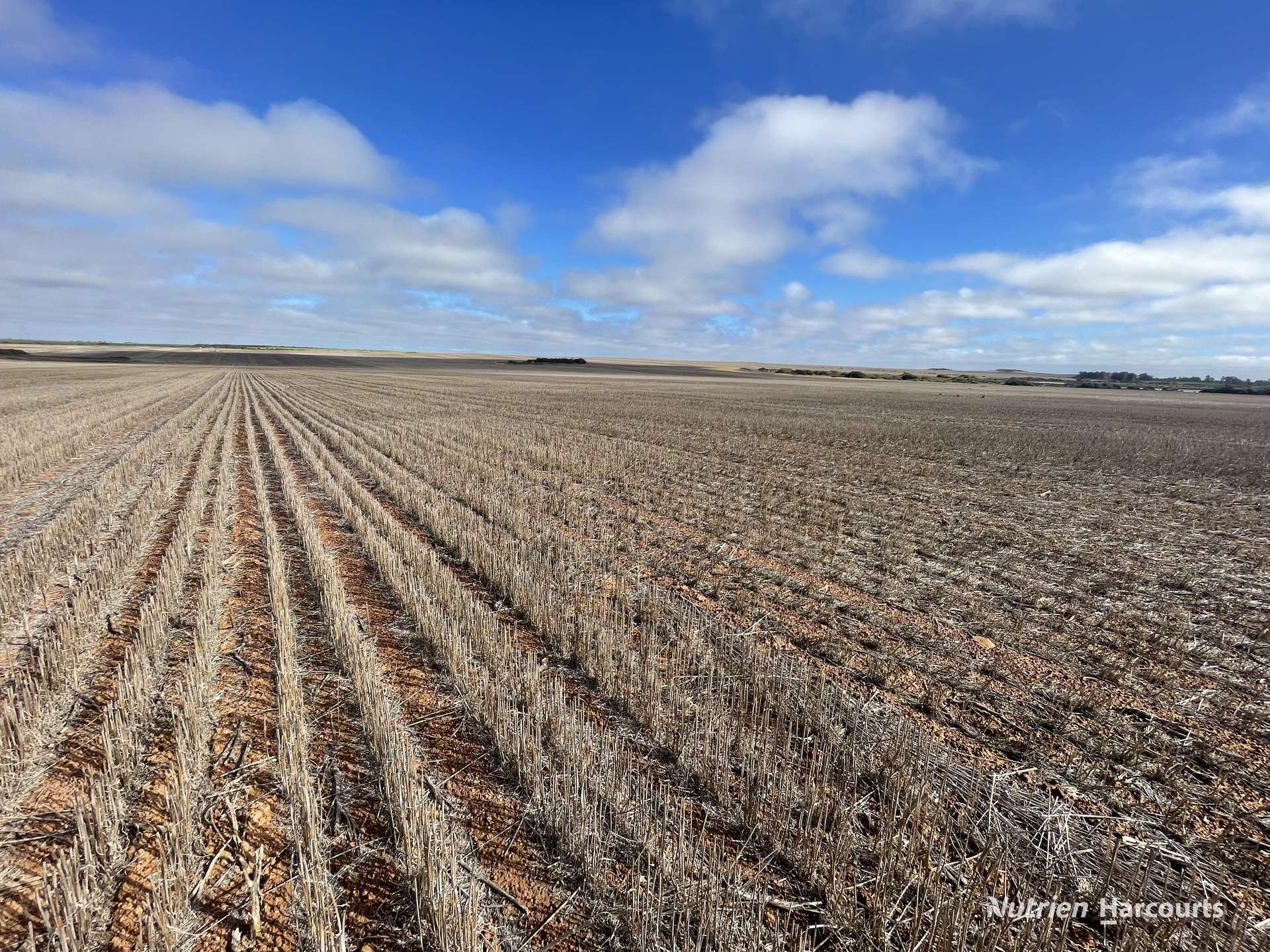 . North West Coastal Highway, Binnu For Sale by Farmbuy.com - image 9