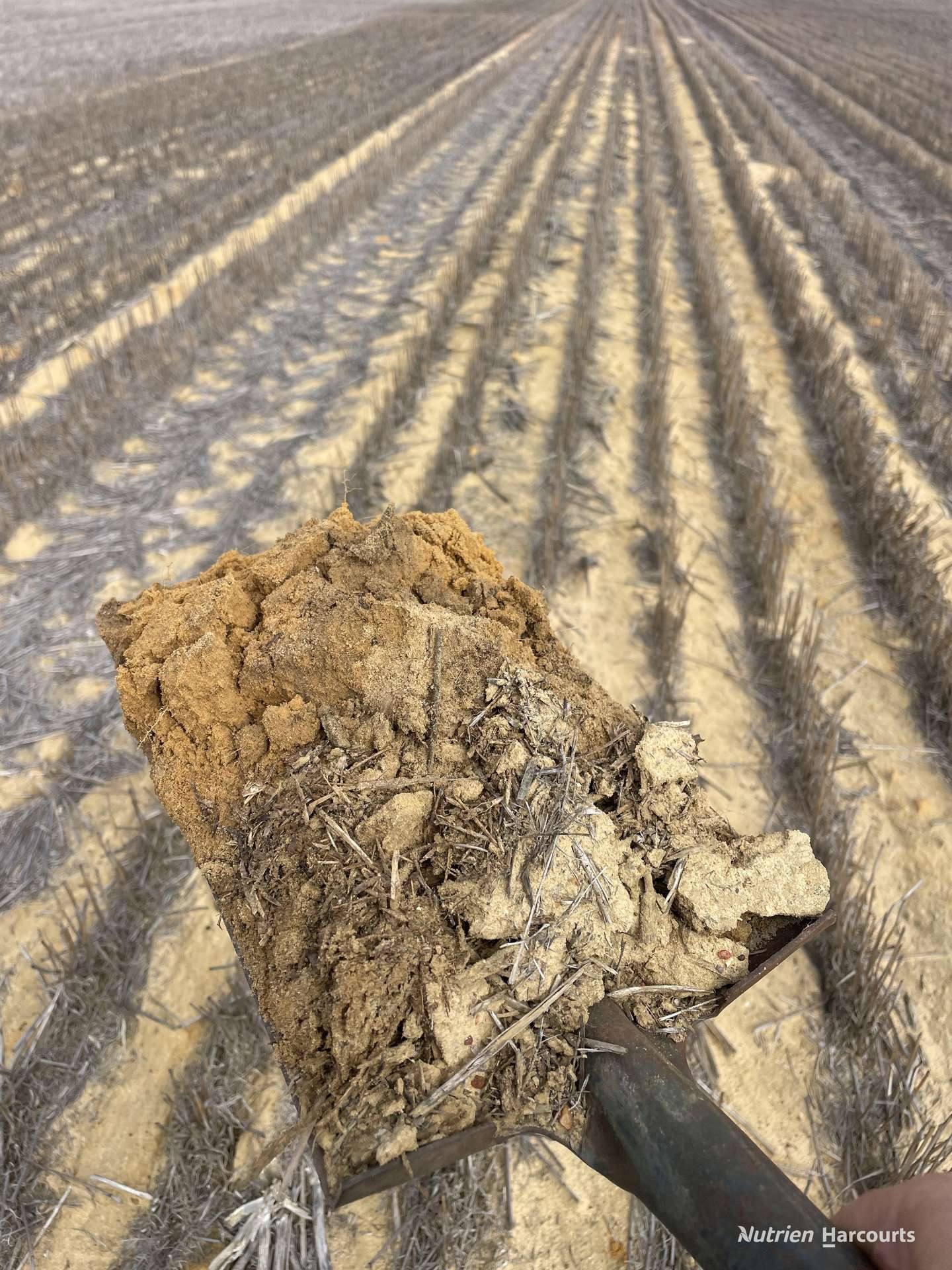 . North West Coastal Highway, Binnu For Sale by Farmbuy.com - image 11