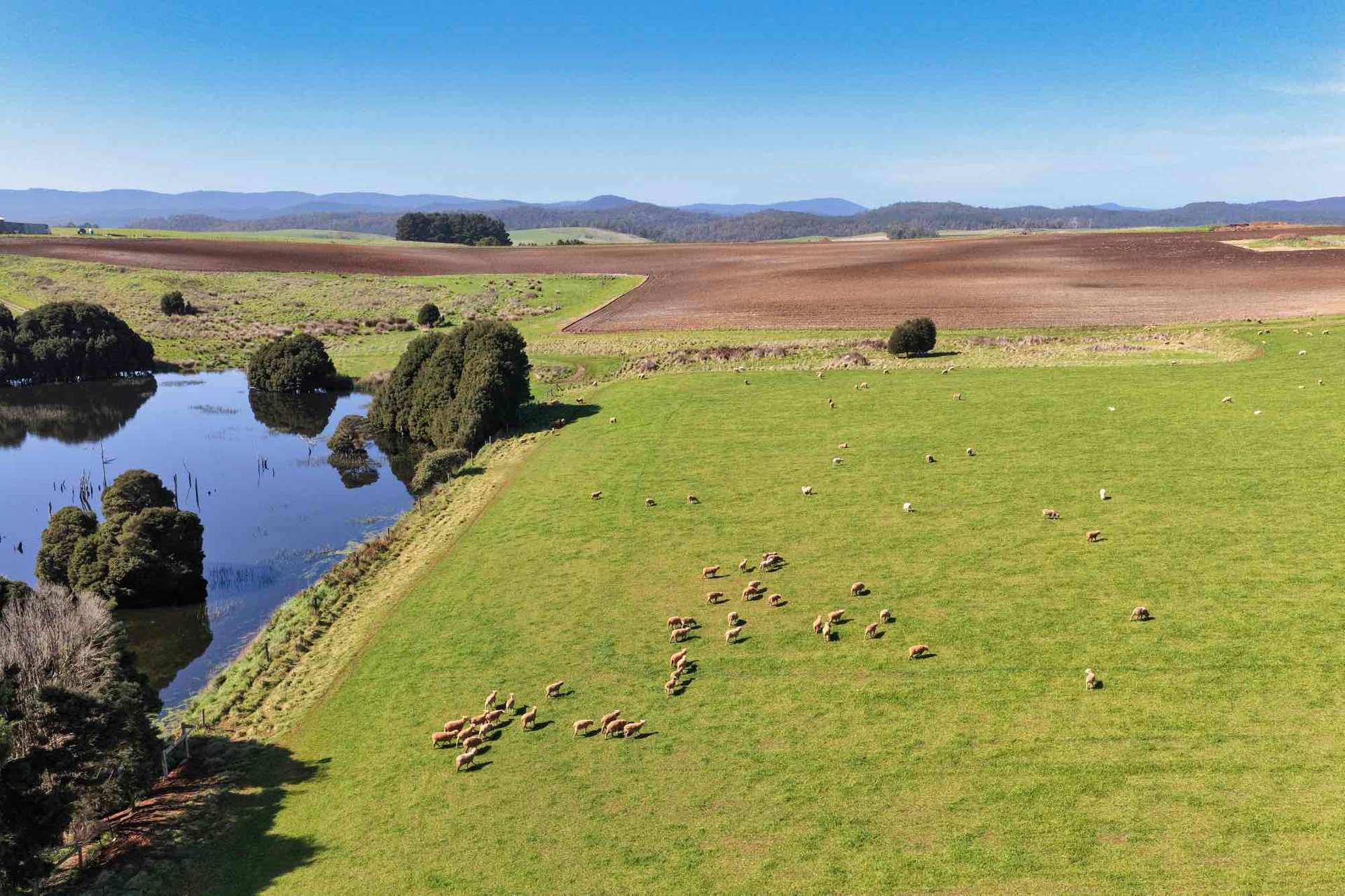 580 Chapel Road, Sassafras For Sale by Farmbuy.com - image 24