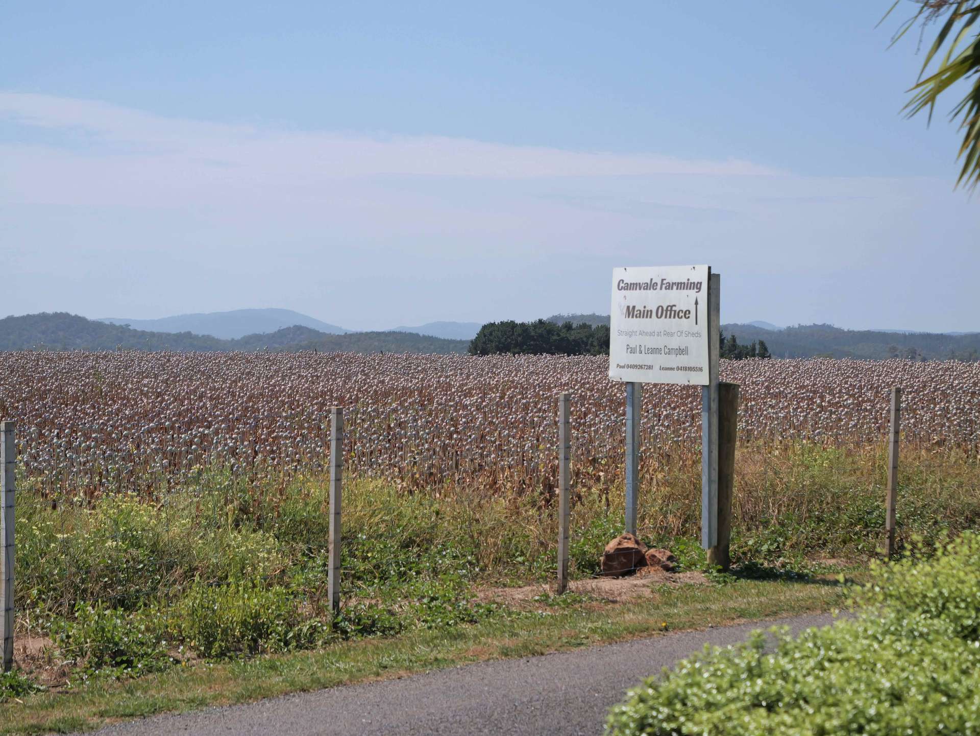580 Chapel Road, Sassafras For Sale by Farmbuy.com - image 21