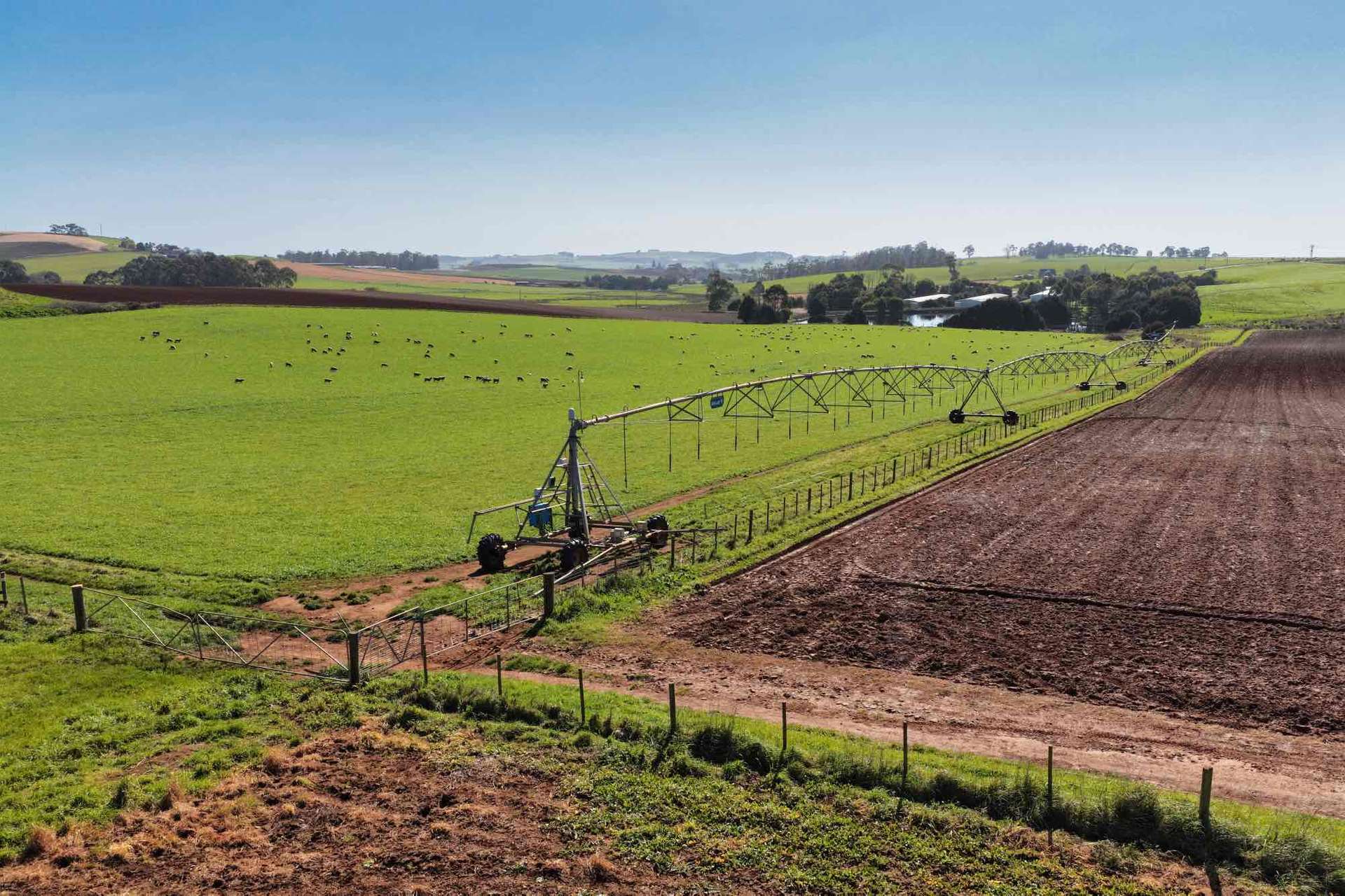 580 Chapel Road, Sassafras For Sale by Farmbuy.com - image 22