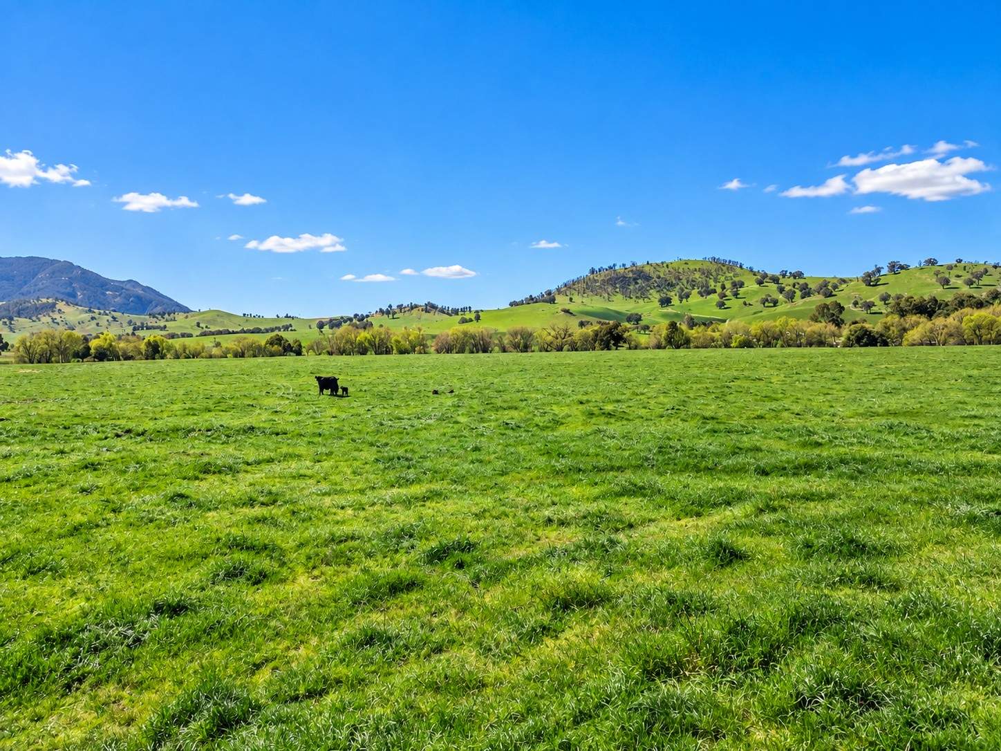 96 Germans Road, Cudgewa For Sale by Farmbuy.com - image 35