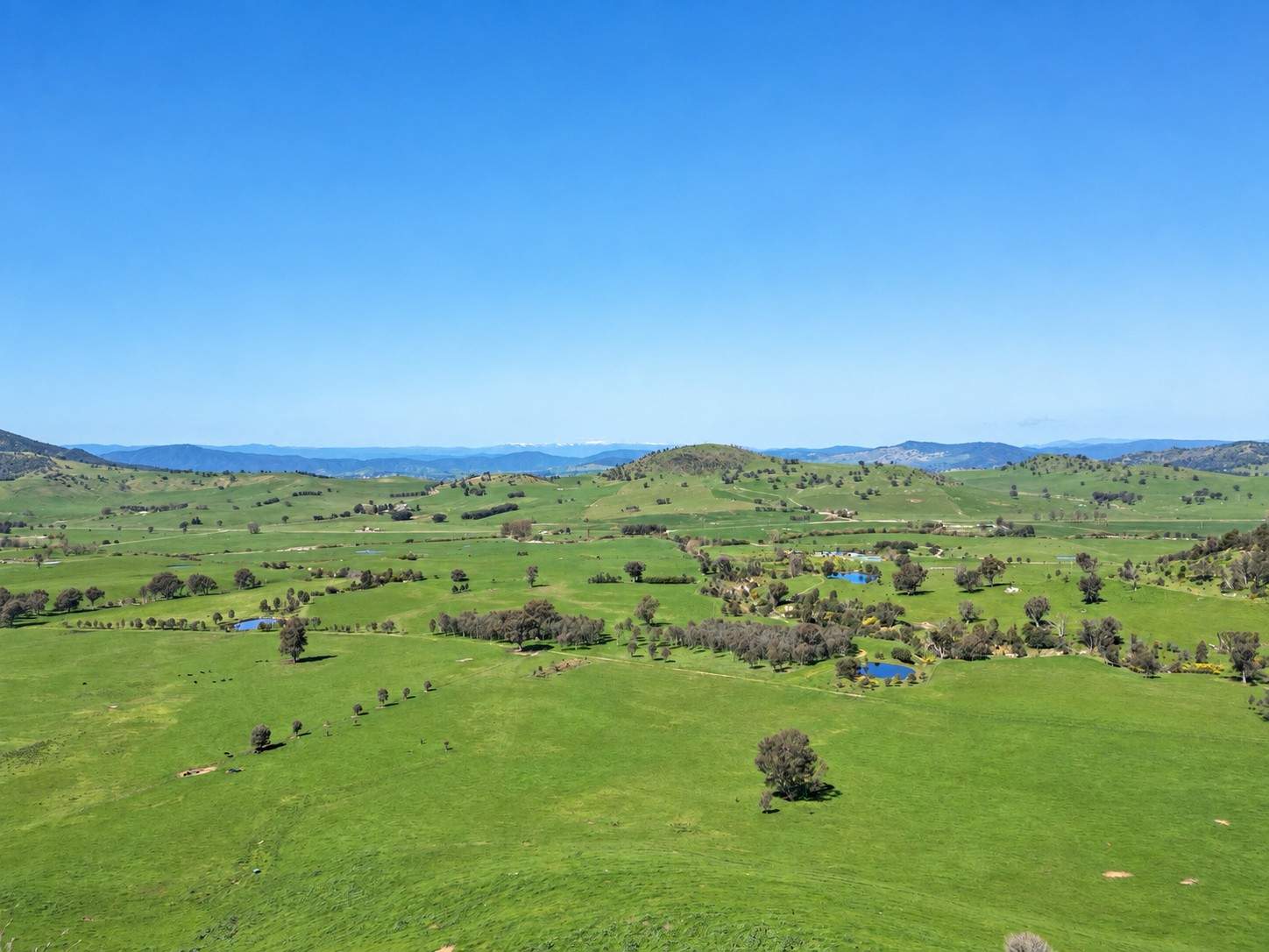 96 Germans Road, Cudgewa For Sale by Farmbuy.com - image 33
