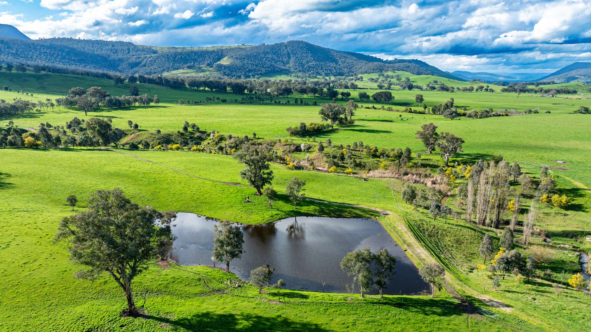 96 Germans Road, Cudgewa For Sale by Farmbuy.com - image 6