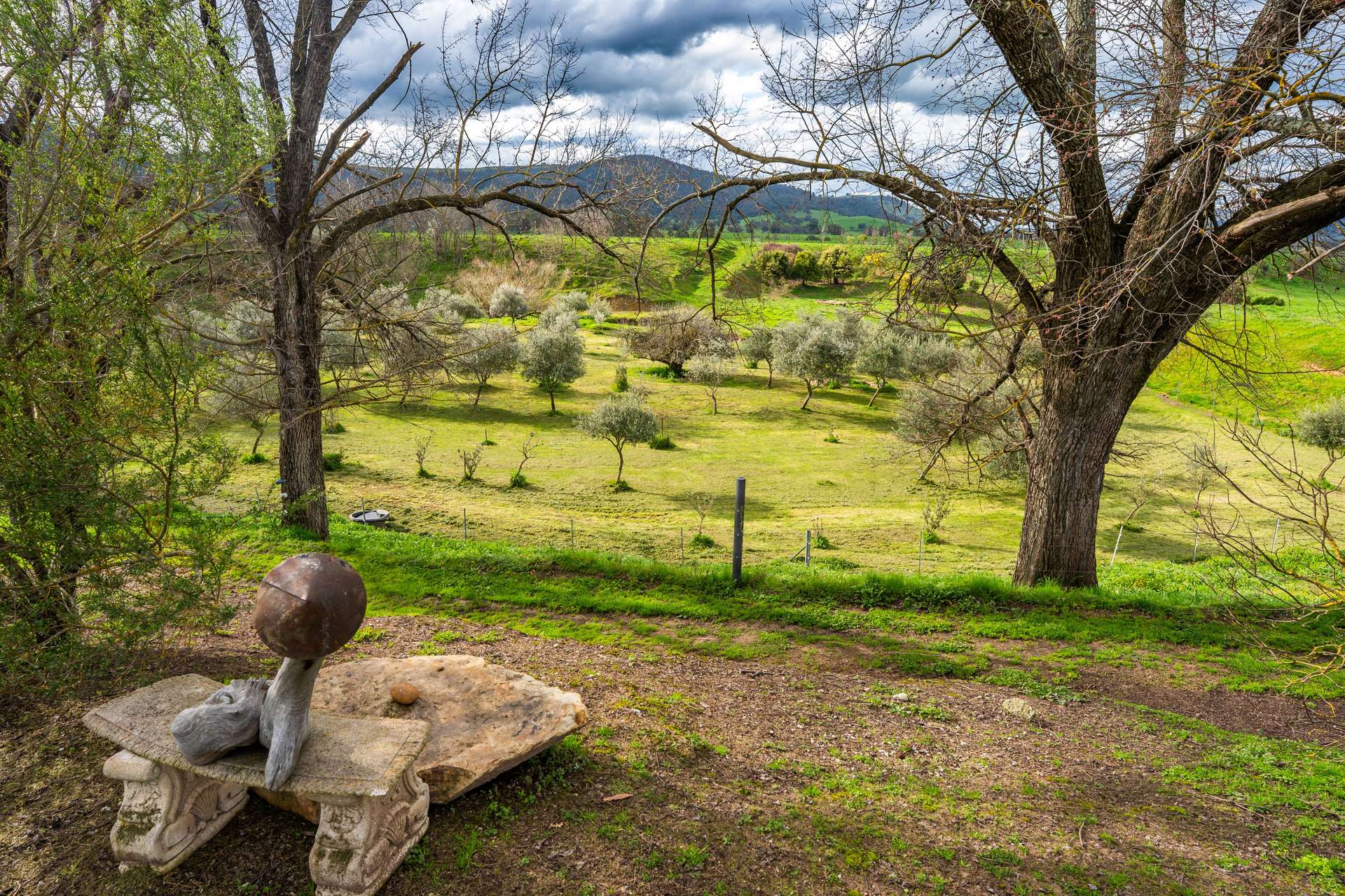 96 Germans Road, Cudgewa For Sale by Farmbuy.com - image 23