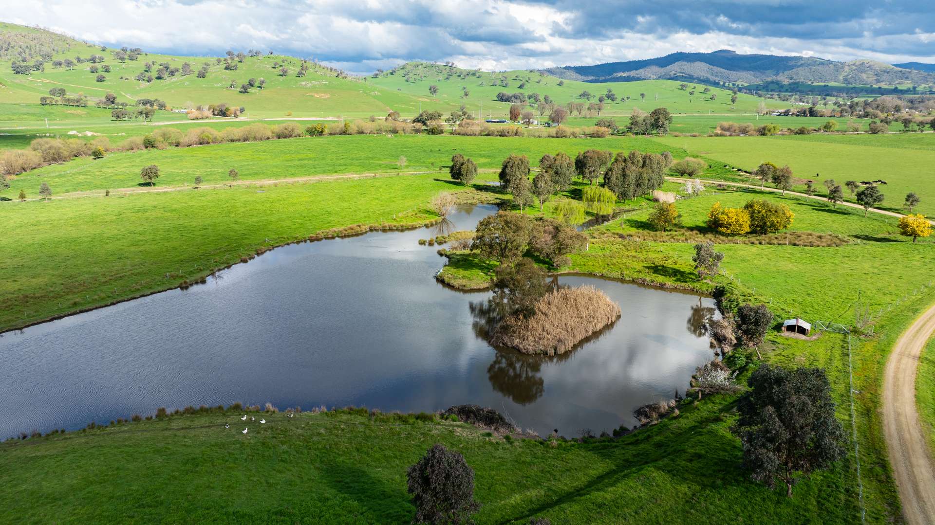 96 Germans Road, Cudgewa For Sale by Farmbuy.com - image 5