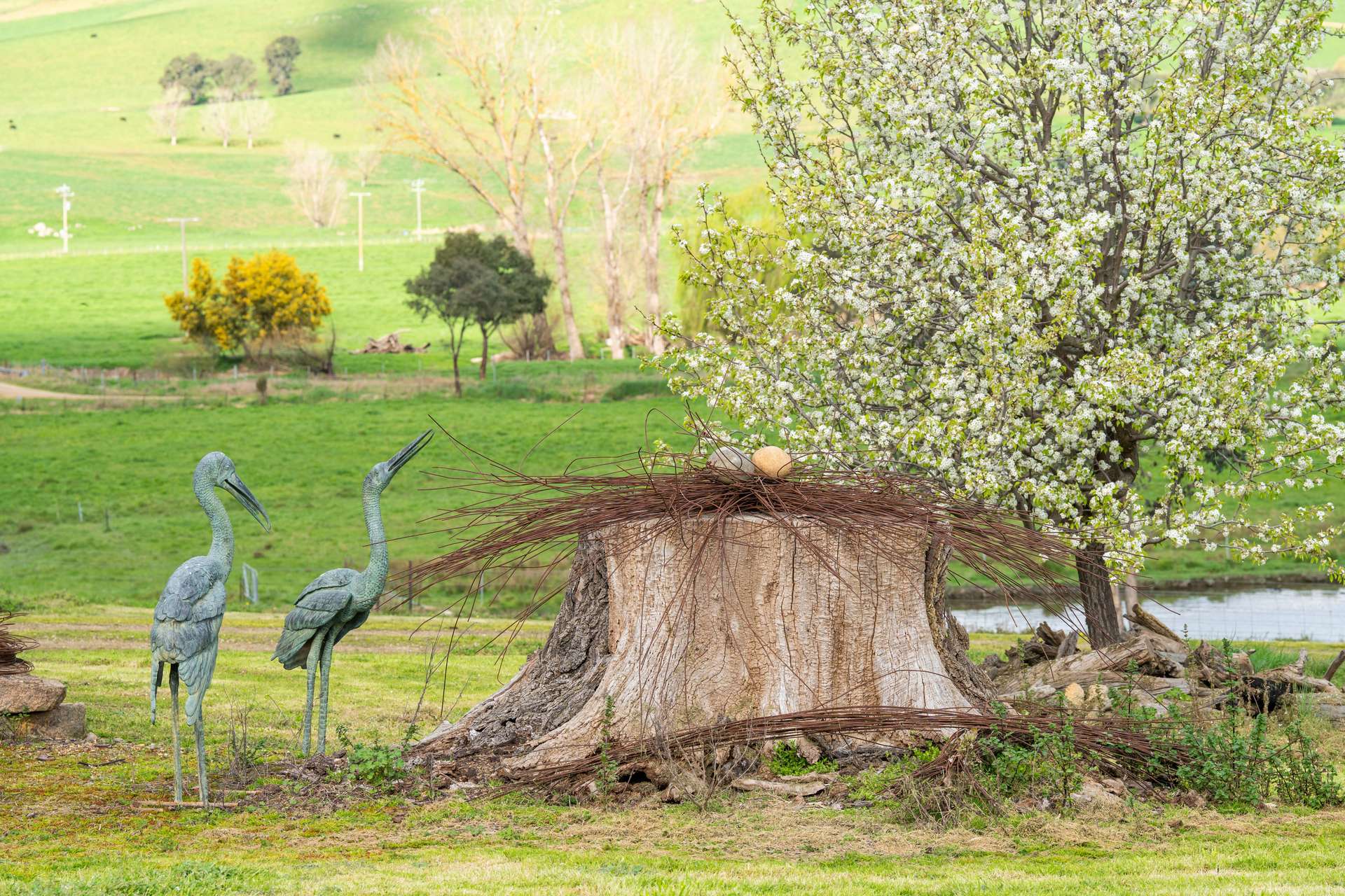 96 Germans Road, Cudgewa For Sale by Farmbuy.com - image 24