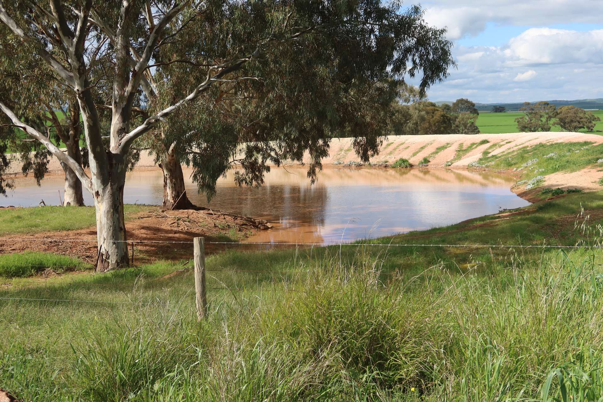261 Borgas Road, Booleroo Centre For Sale by Farmbuy.com - image 5